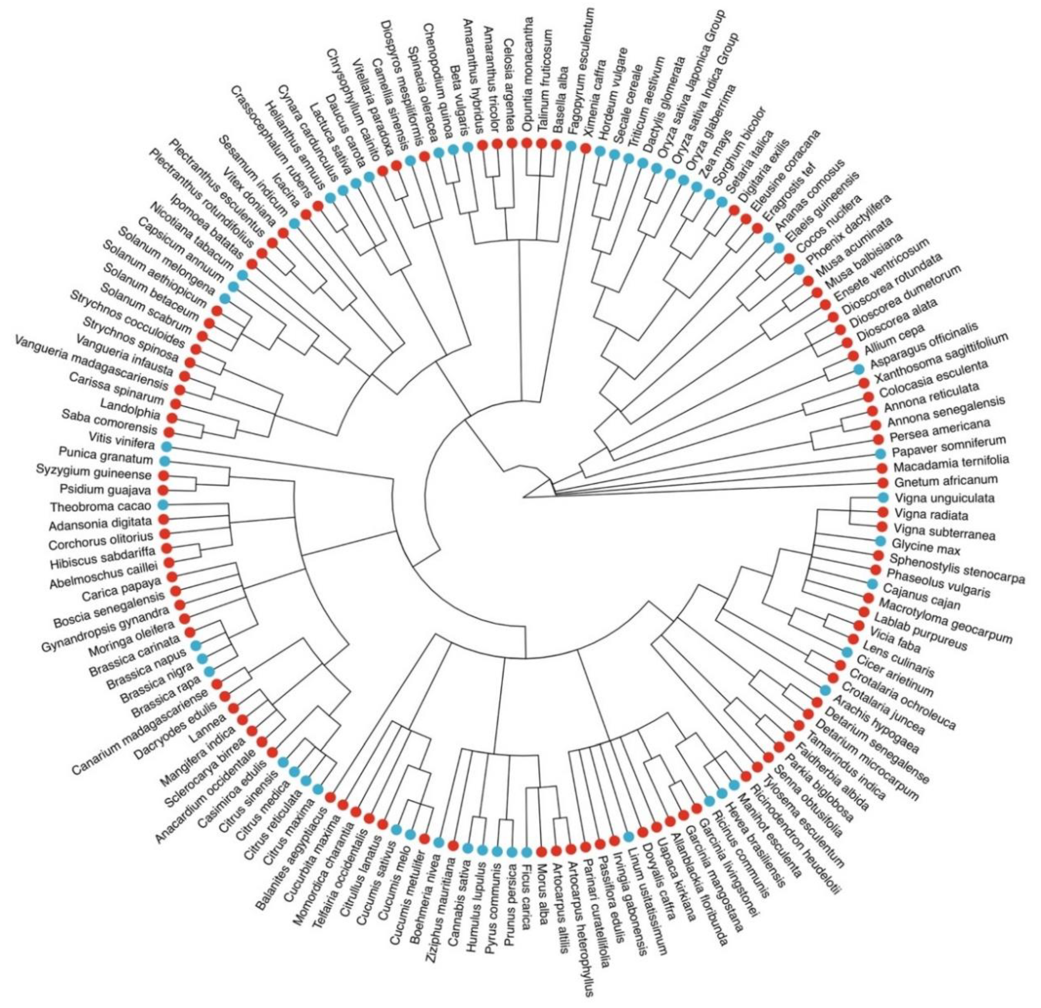 Genes 10 00950 g001 Genes 10 00950 g001