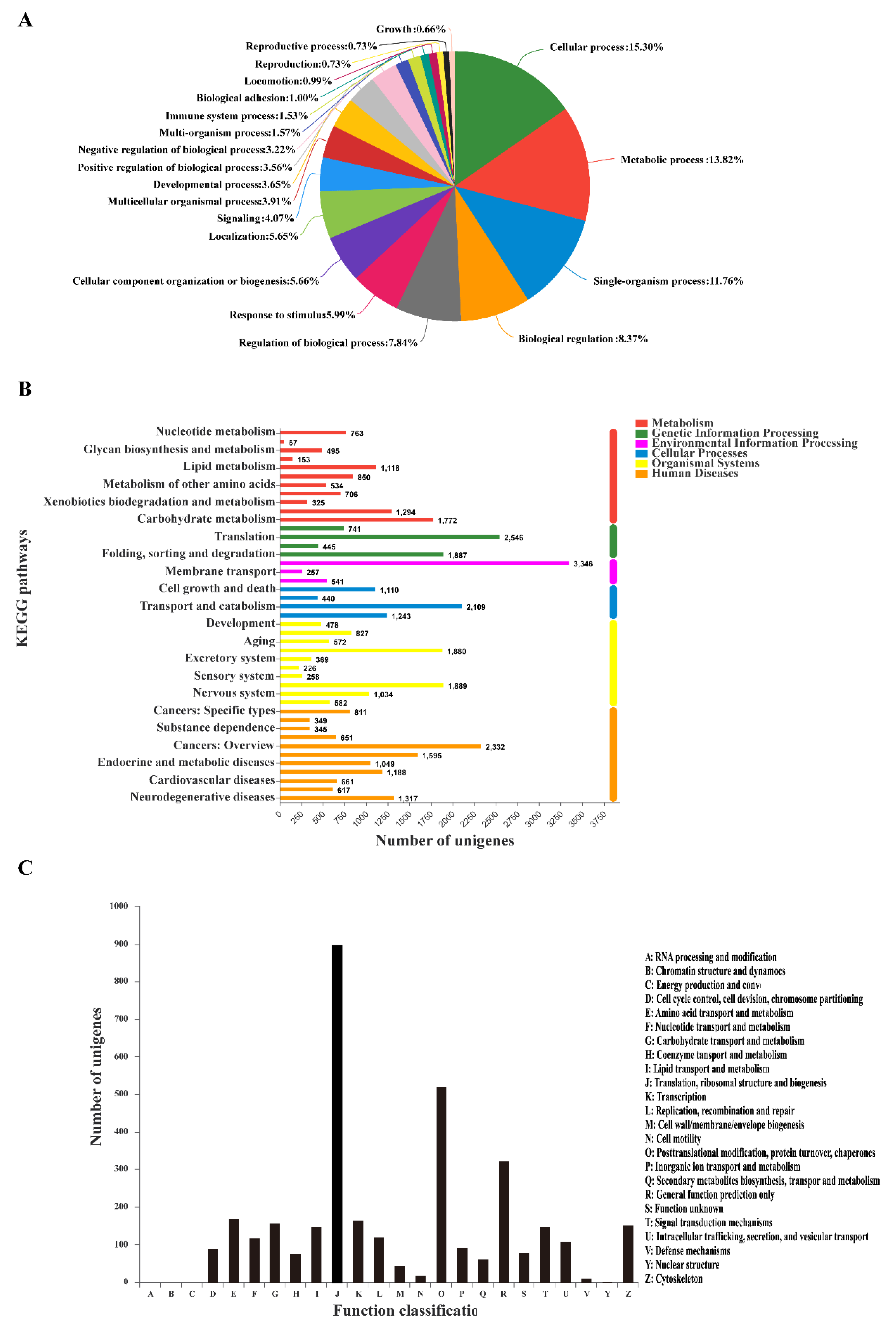 Genes 10 00951 g001 Genes 10 00951 g001