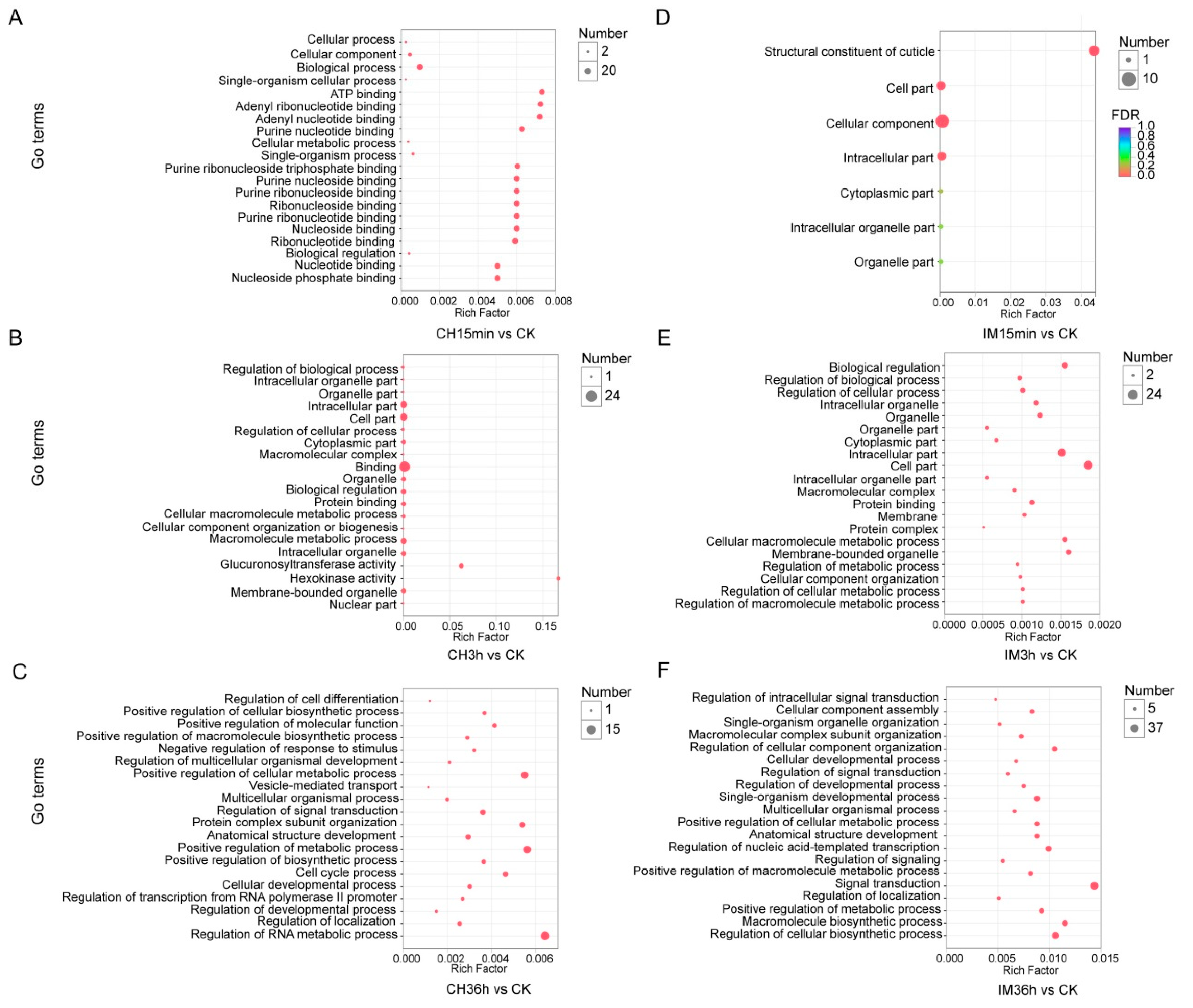 Genes 10 00951 g004 Genes 10 00951 g004
