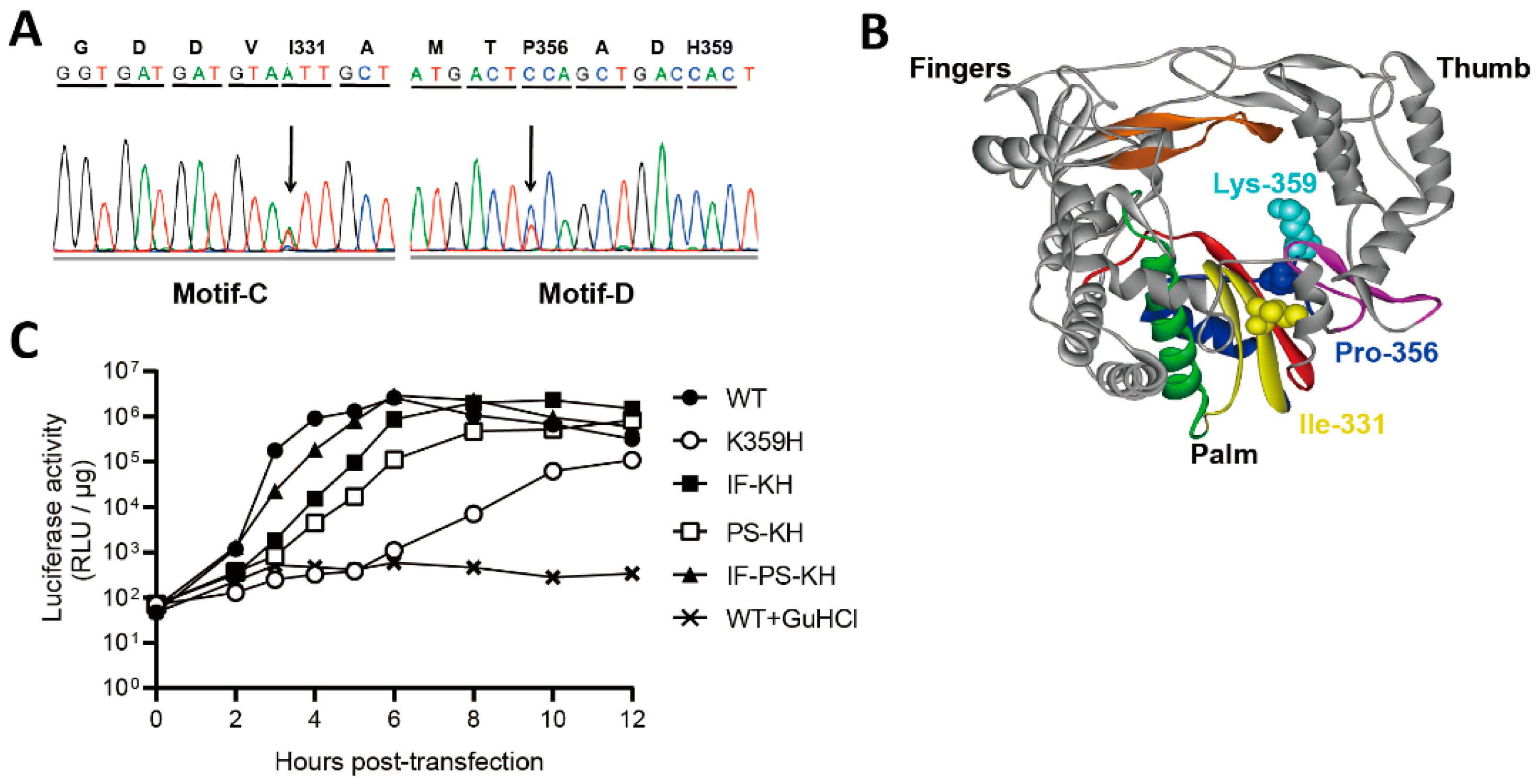 Genes 10 00968 g001 Genes 10 00968 g001