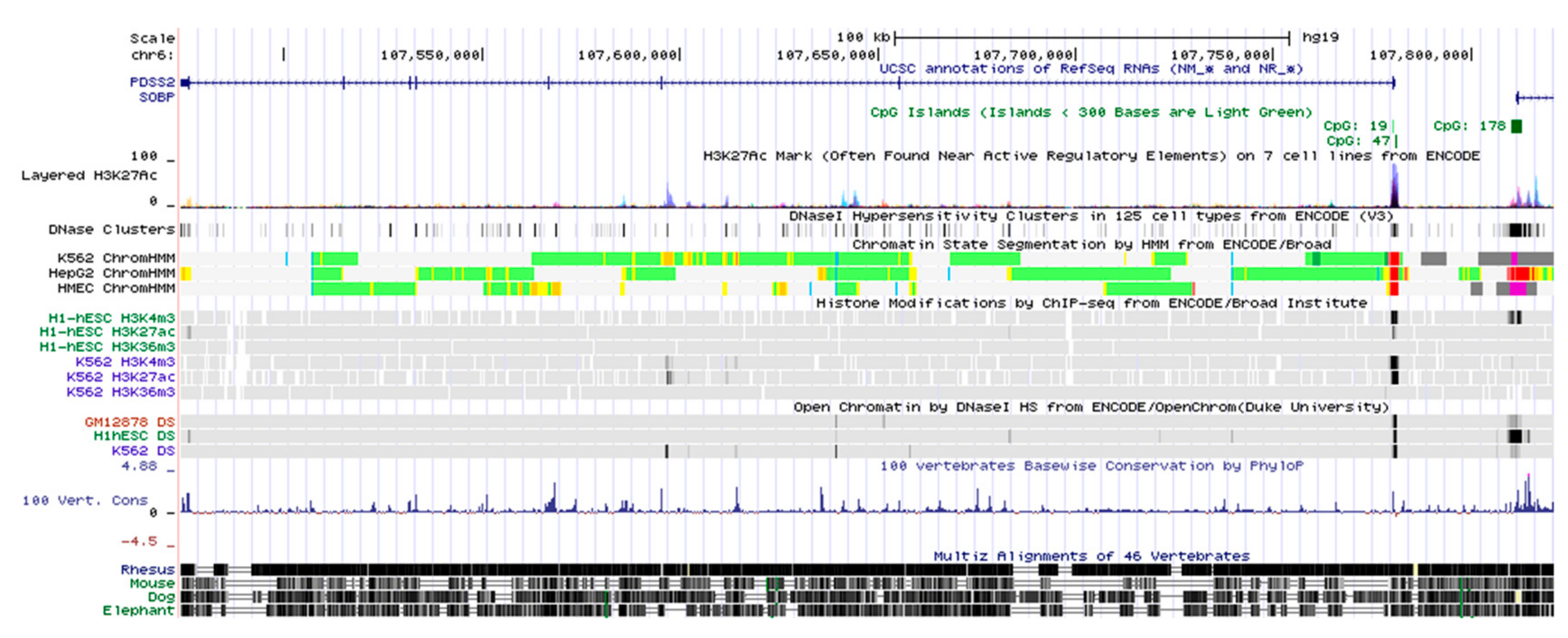 Genes 10 00977 g001 Genes 10 00977 g001