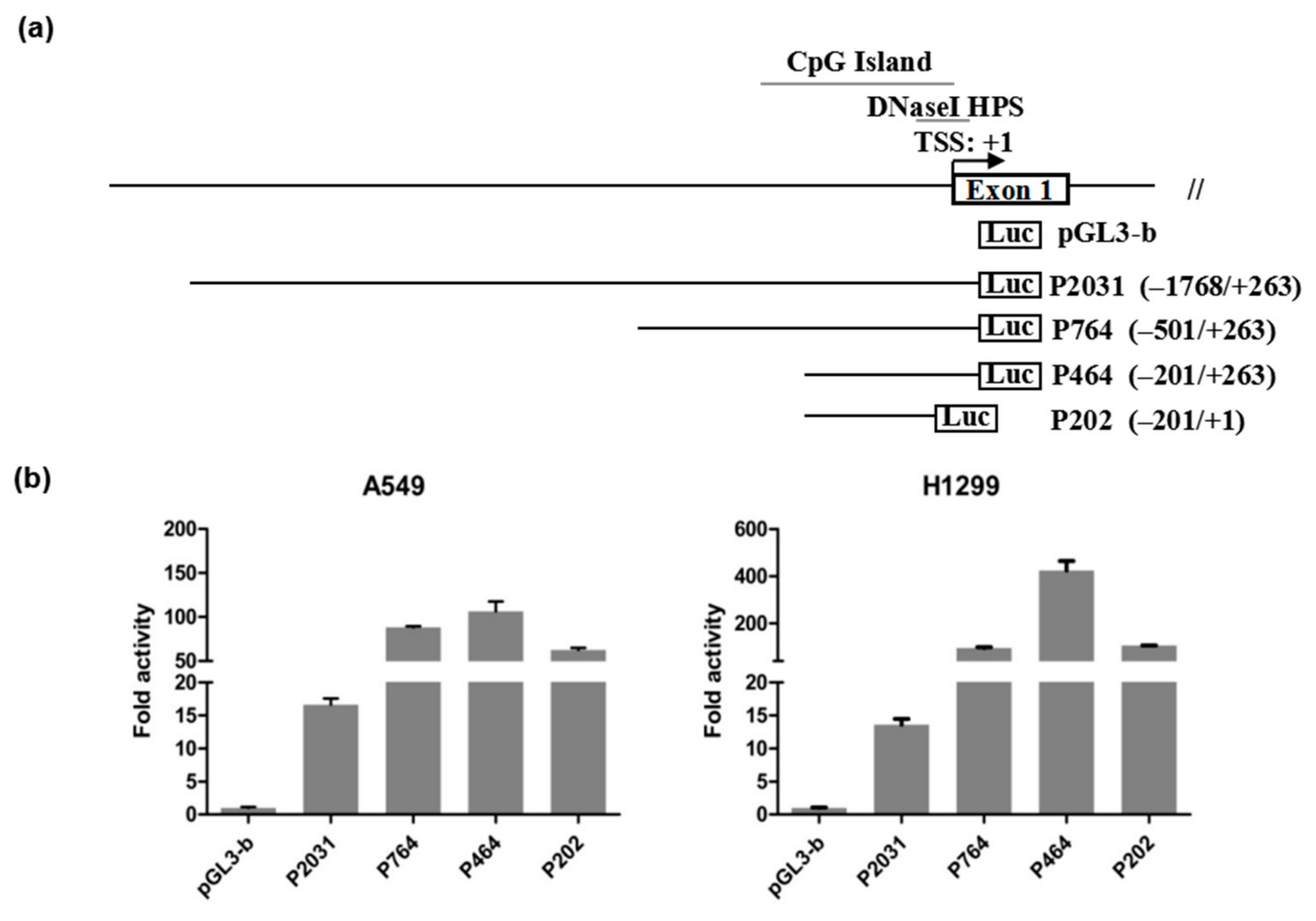 Genes 10 00977 g002 Genes 10 00977 g002