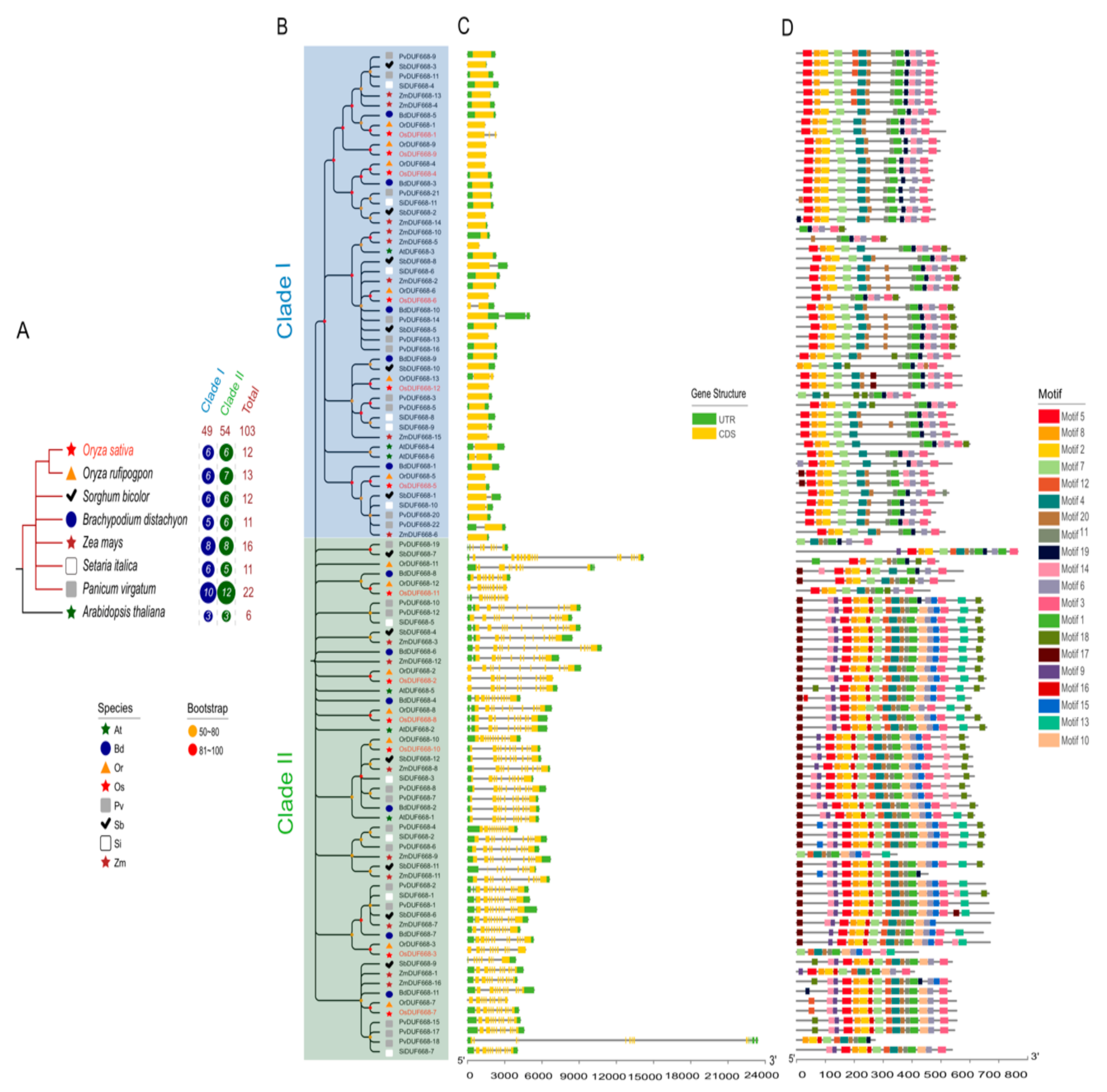 Genes 10 00980 g001