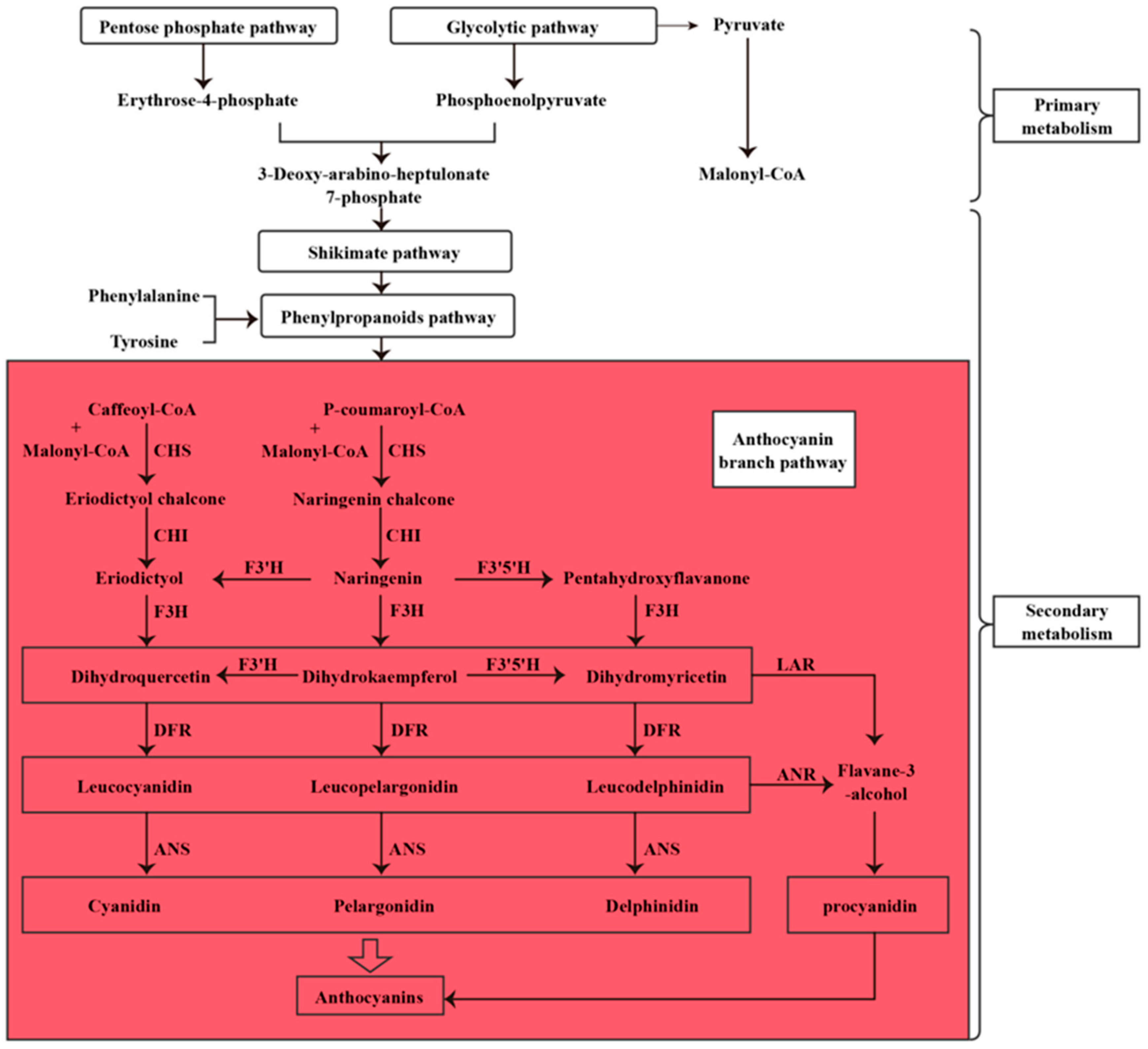 Genes 10 00982 g001 Genes 10 00982 g001