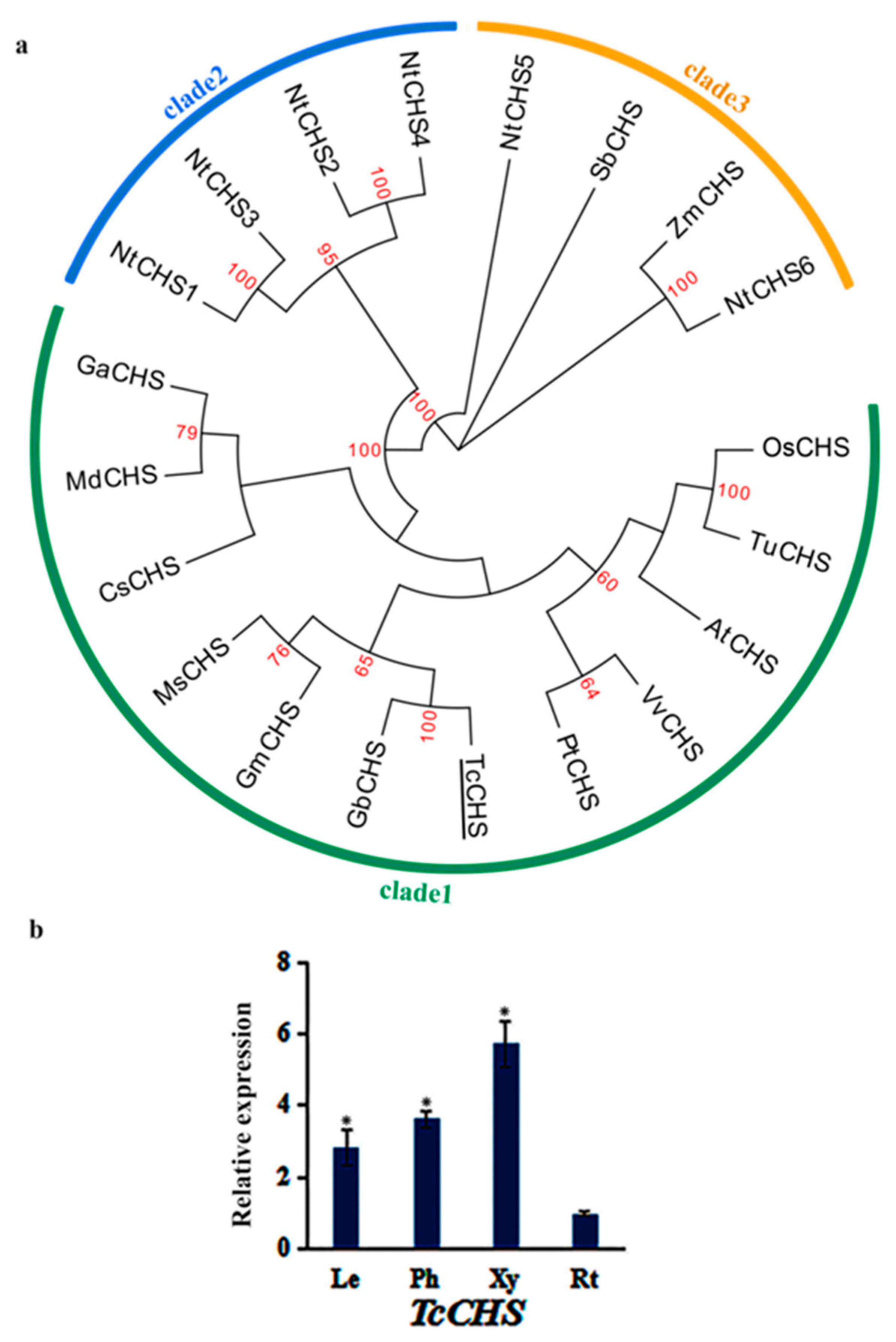 Genes 10 00982 g002 Genes 10 00982 g002