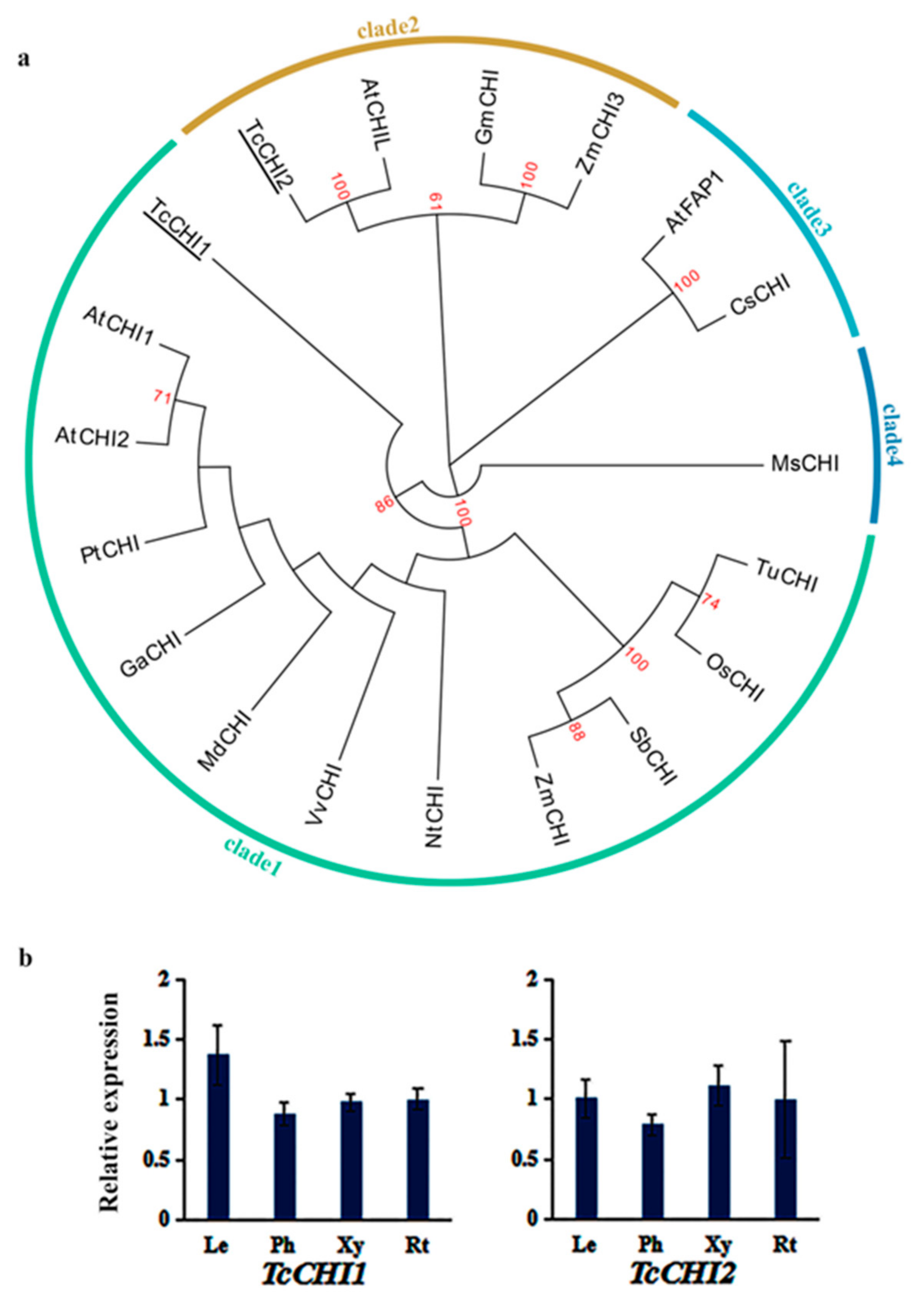 Genes 10 00982 g003 Genes 10 00982 g003