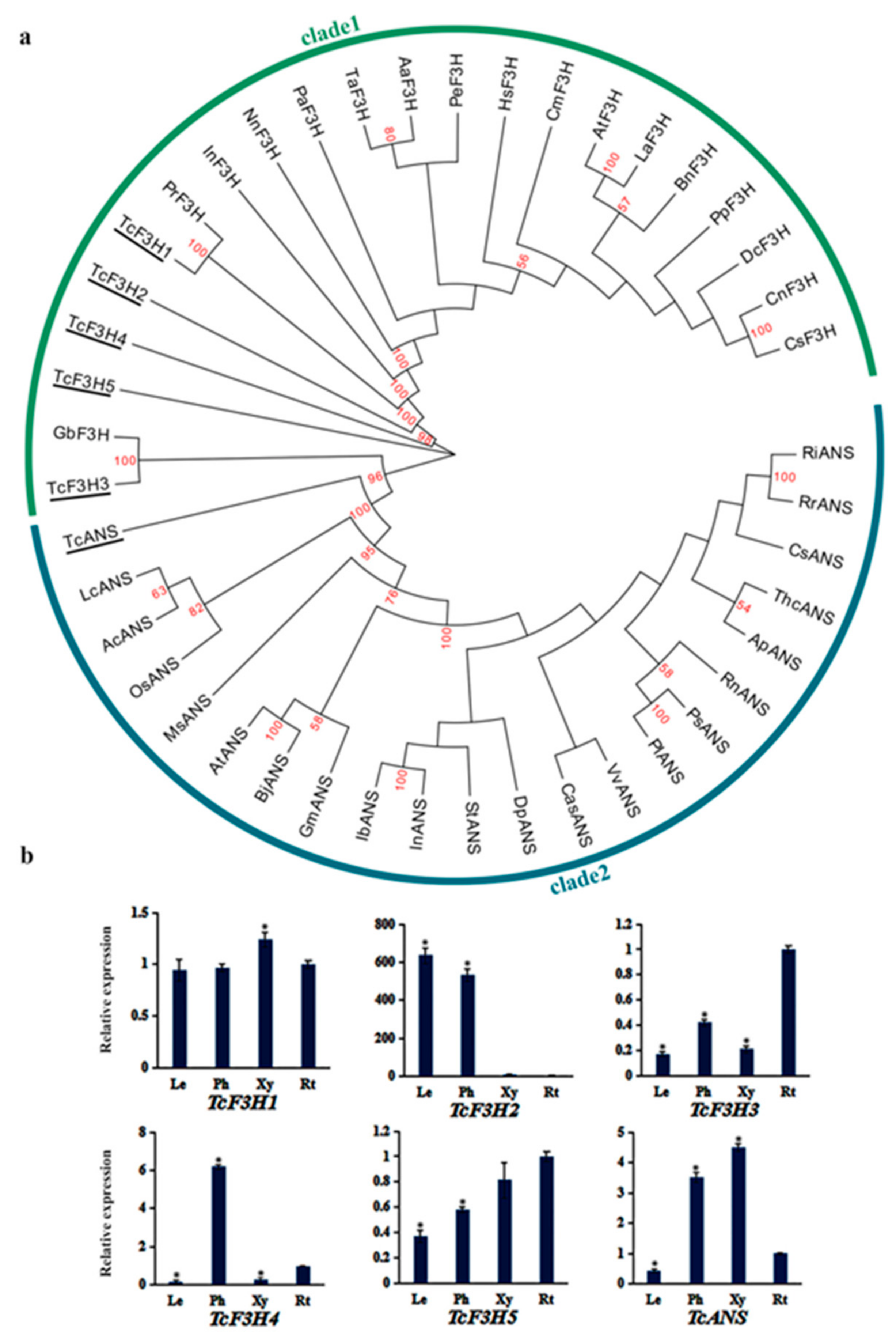 Genes 10 00982 g004 Genes 10 00982 g004