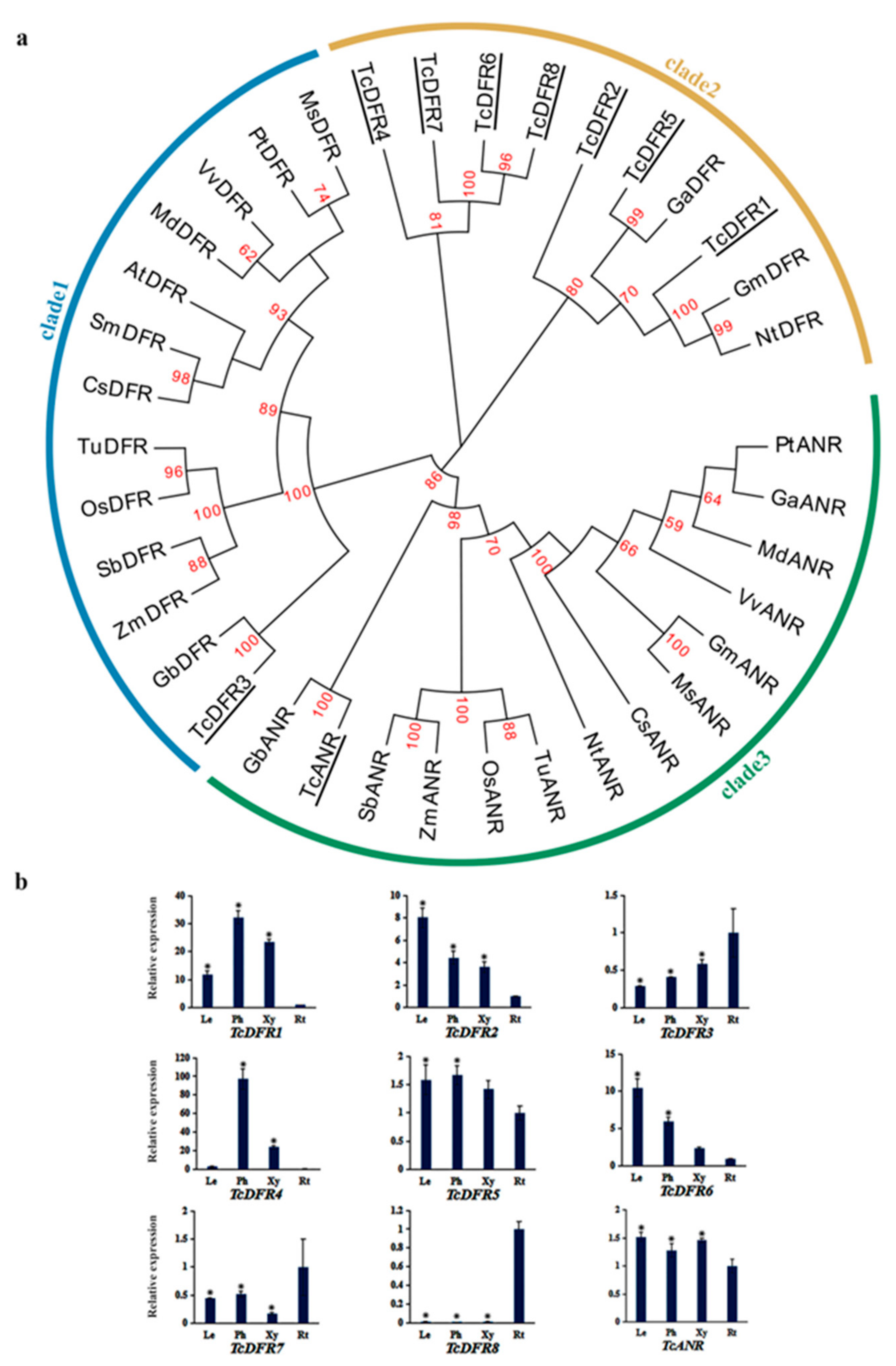 Genes 10 00982 g006 Genes 10 00982 g006