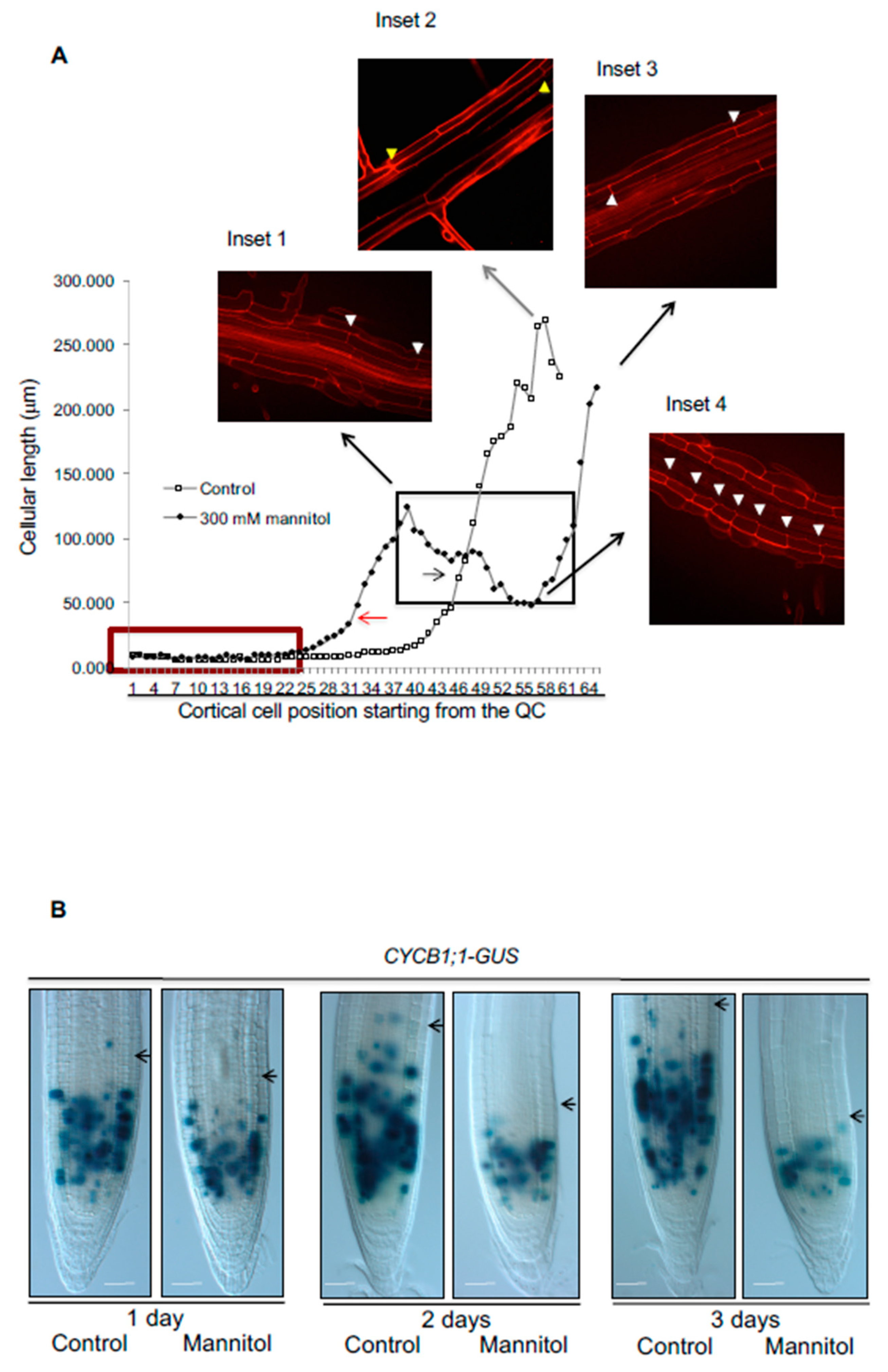 Genes 10 00983 g002
