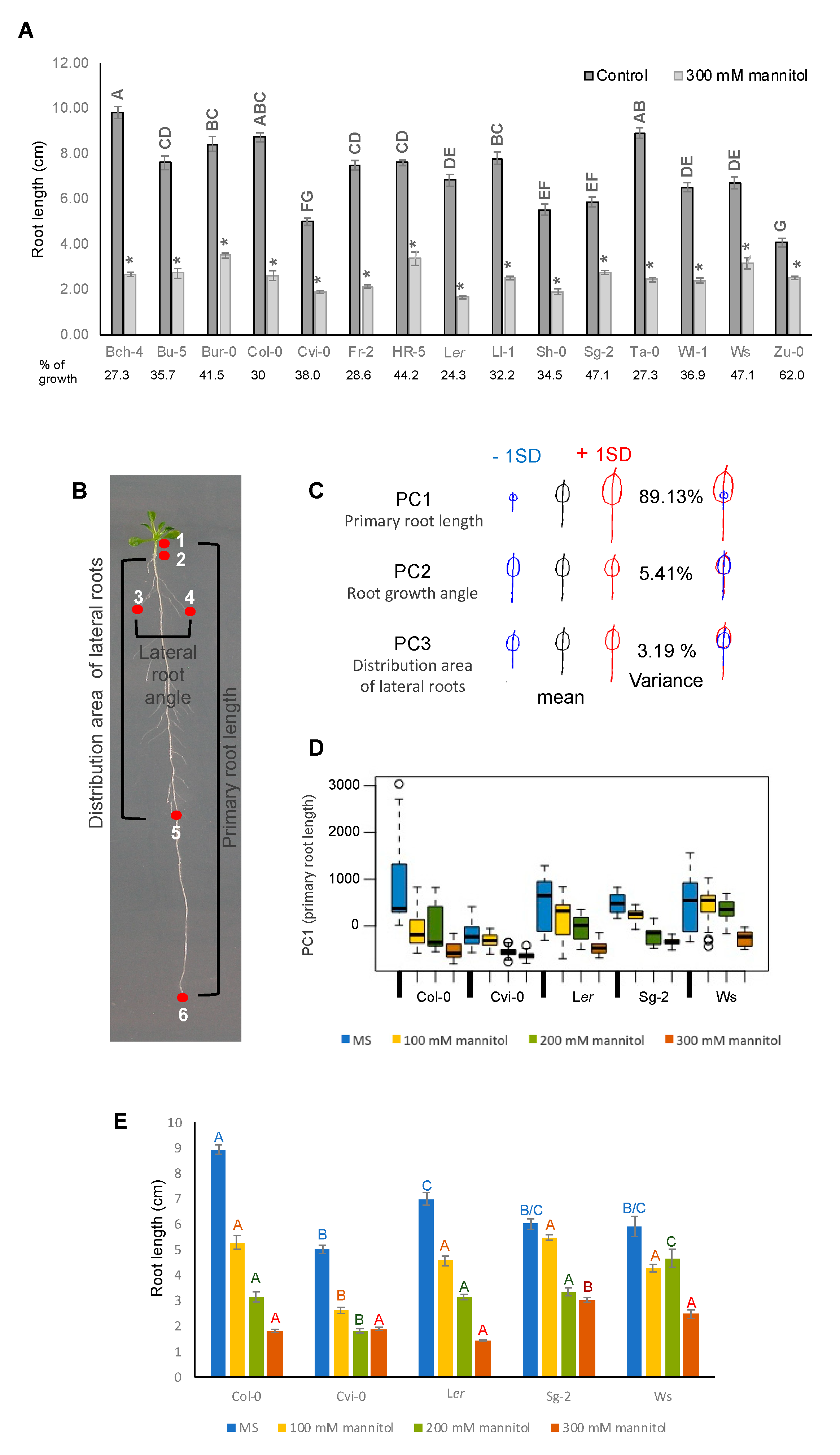 Genes 10 00983 g003