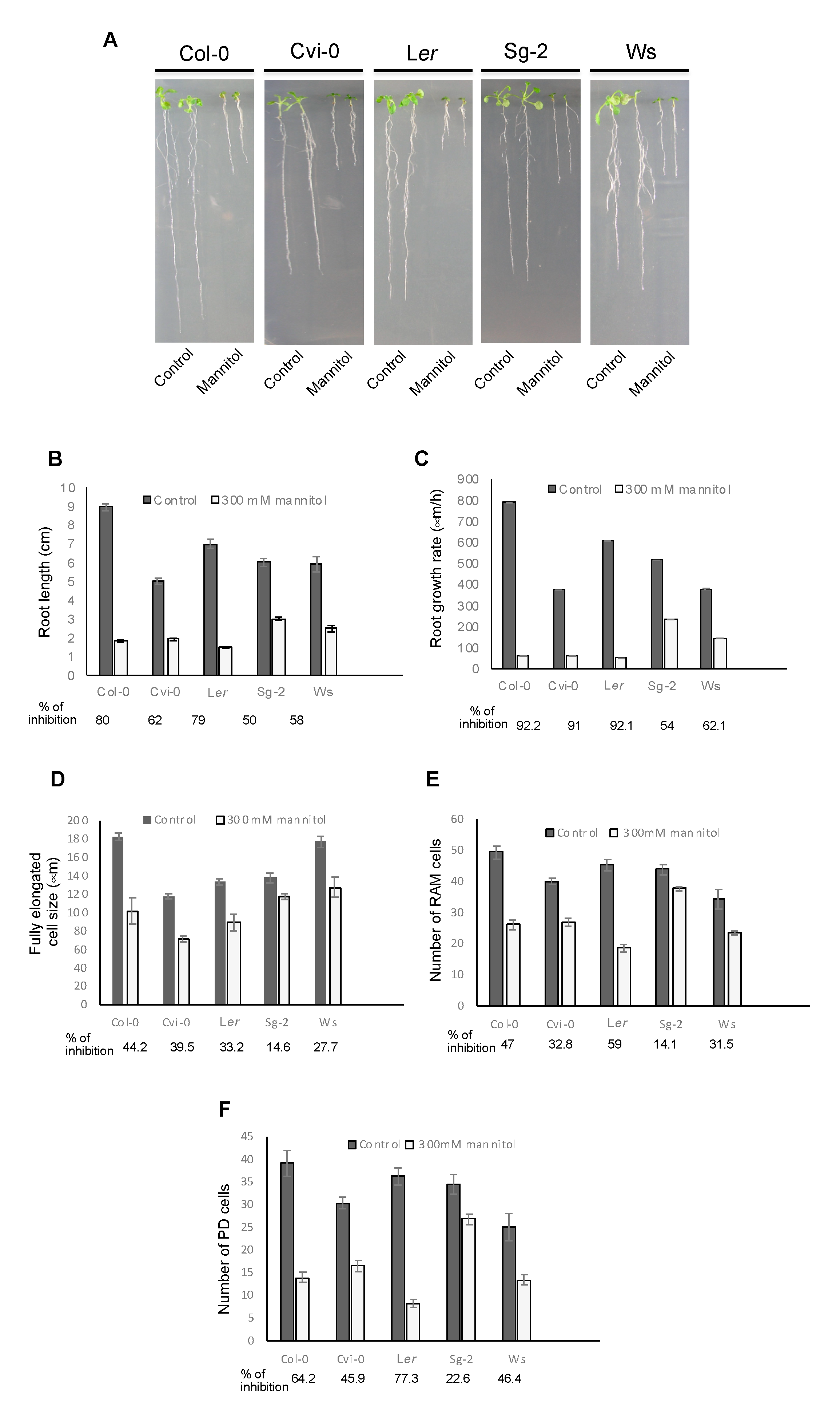 Genes 10 00983 g004