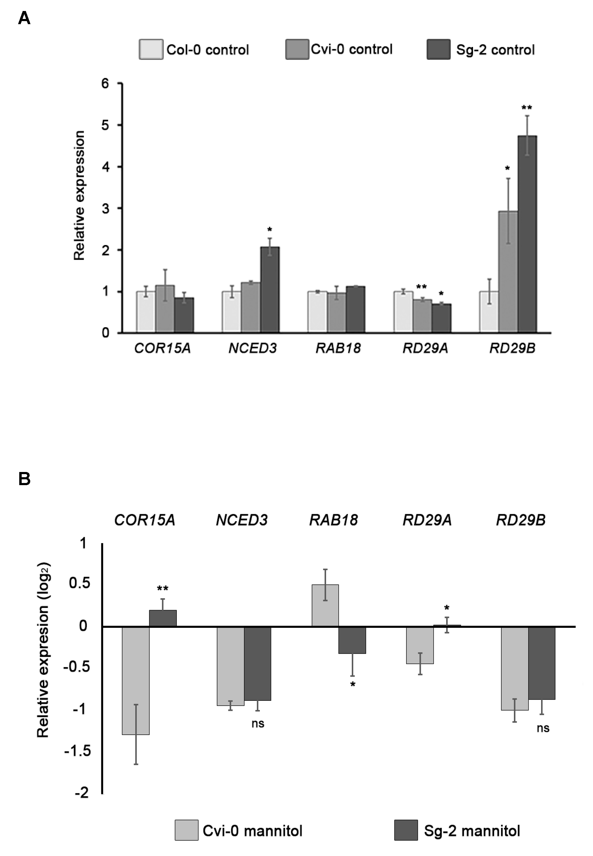 Genes 10 00983 g007