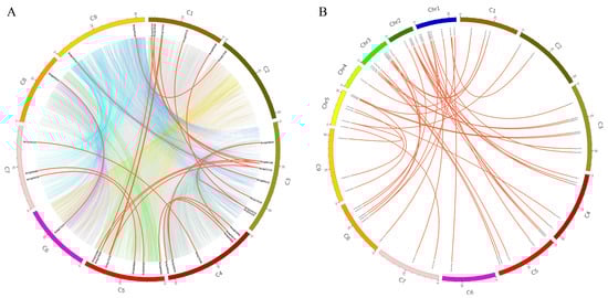 Genes 10 01000 g002