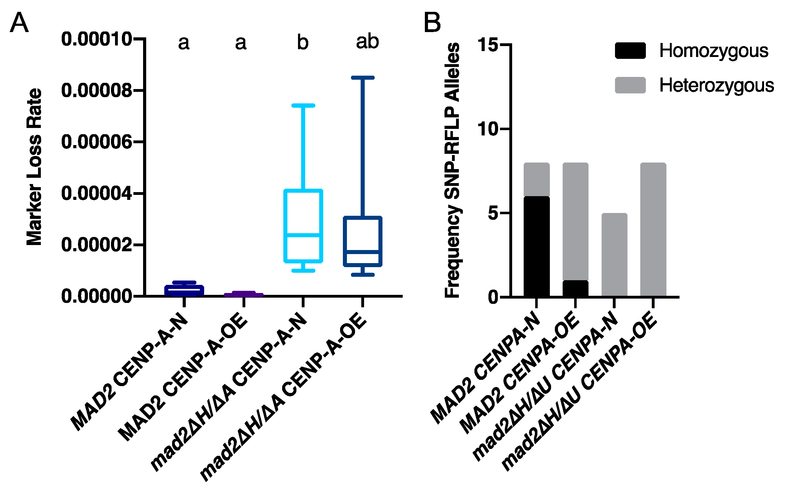 Genes 10 01013 g002