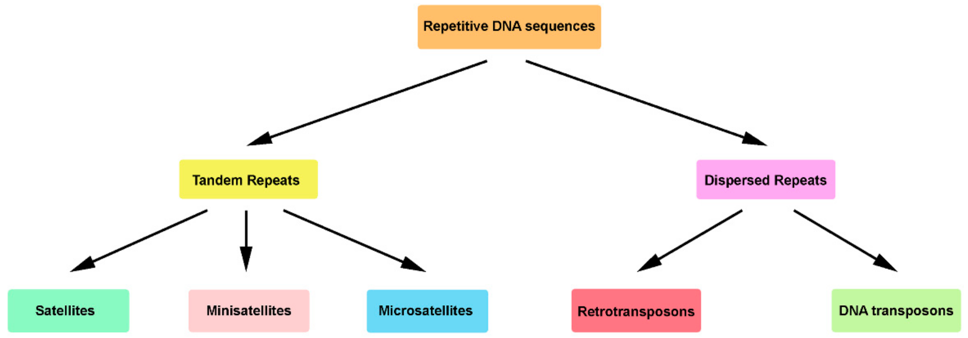 Genes 10 01014 g001