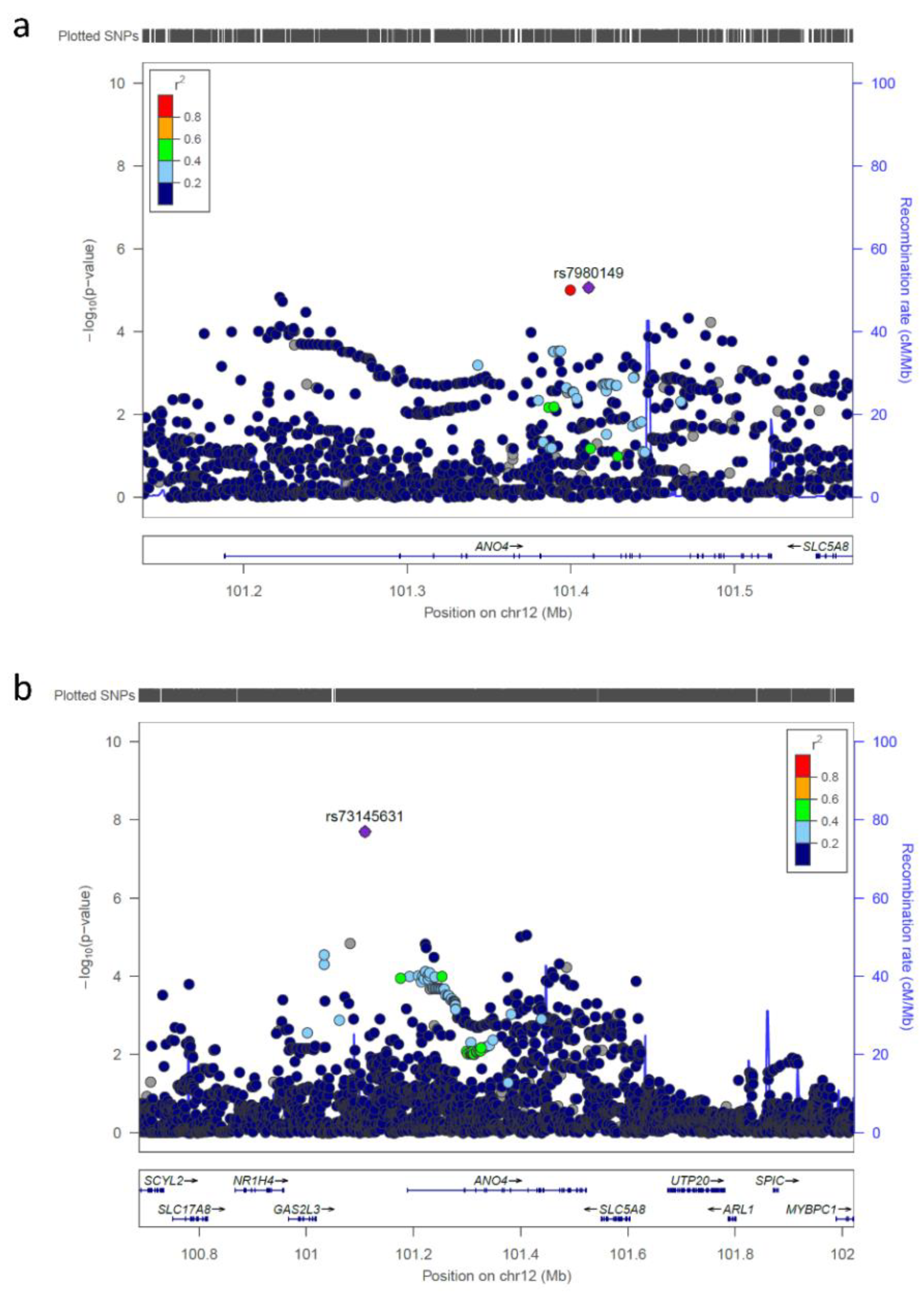 Genes 10 01023 g003