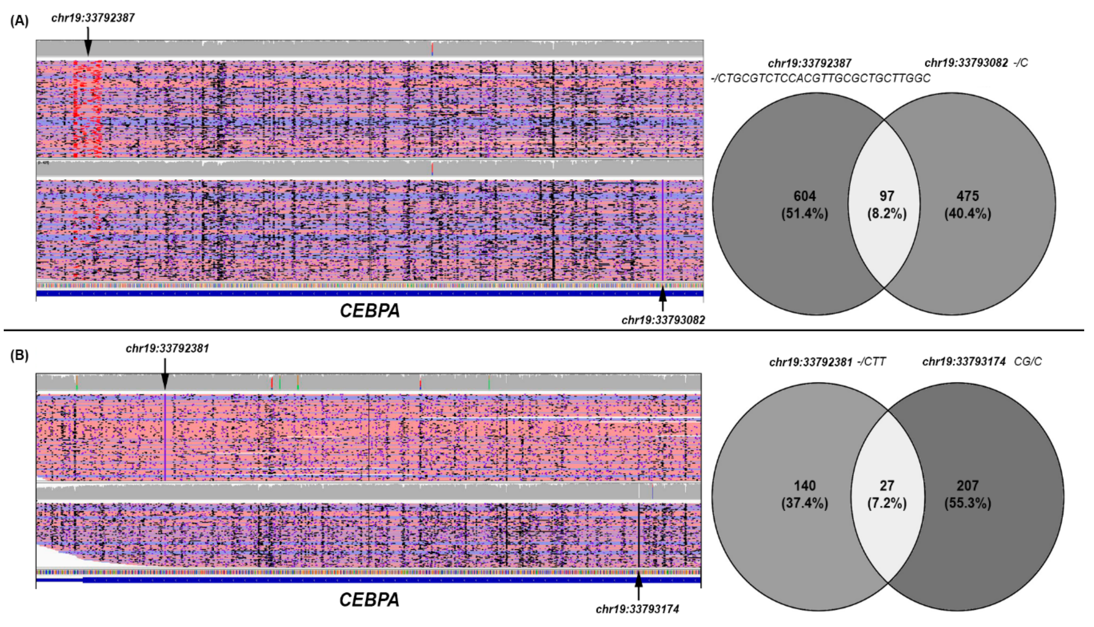 Genes 10 01026 g003