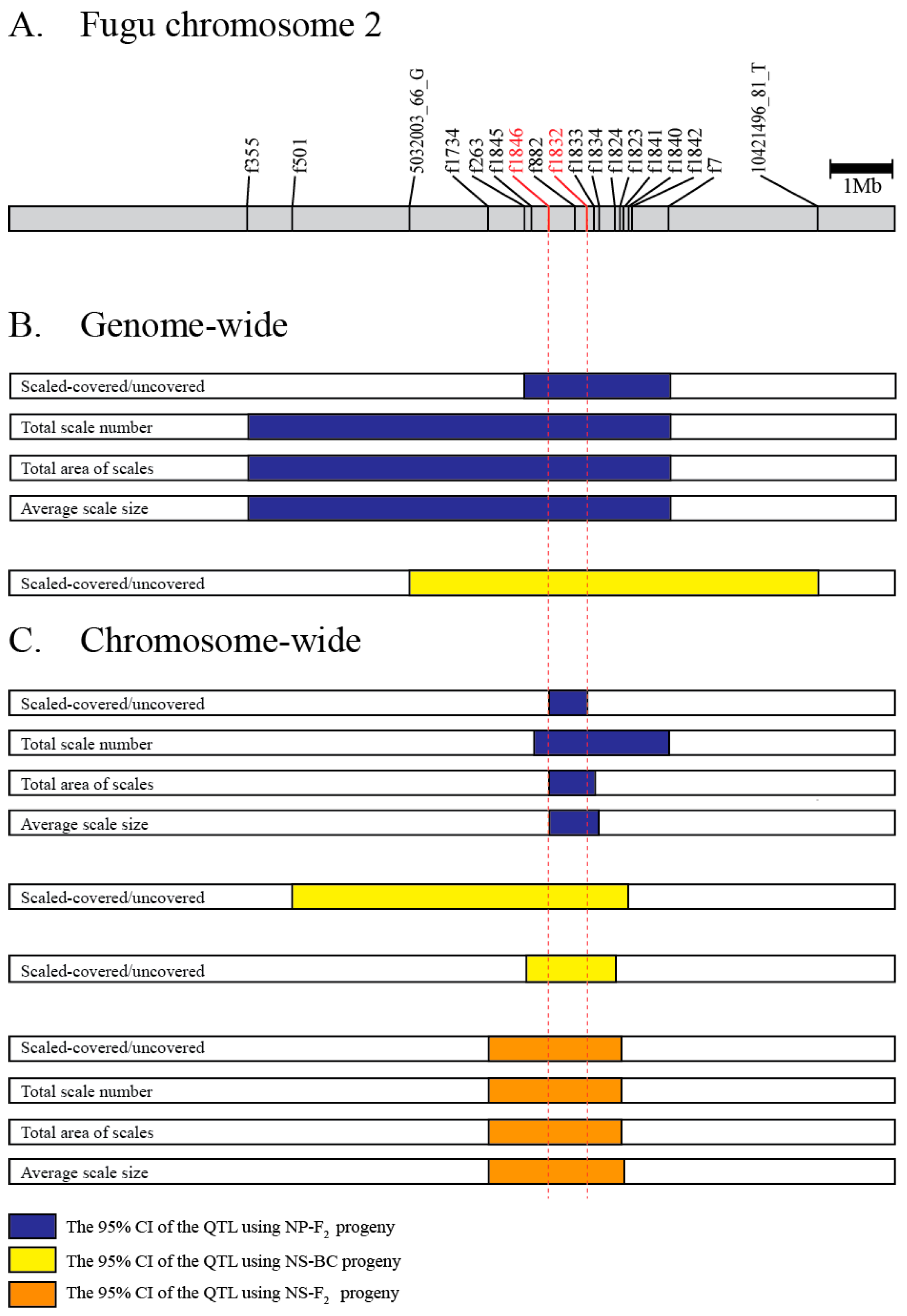 Genes 10 01027 g006
