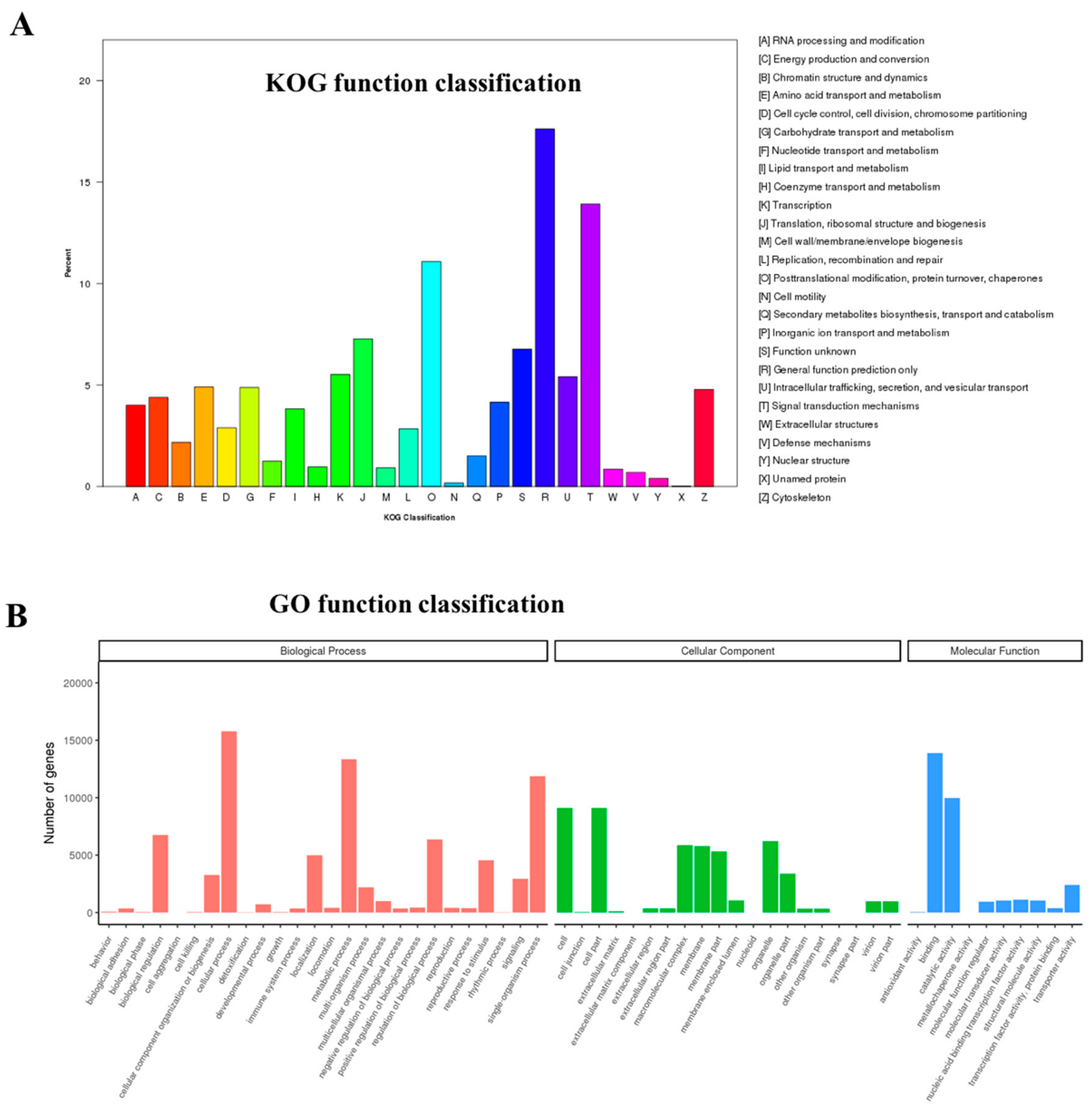 Genes 10 01035 g002