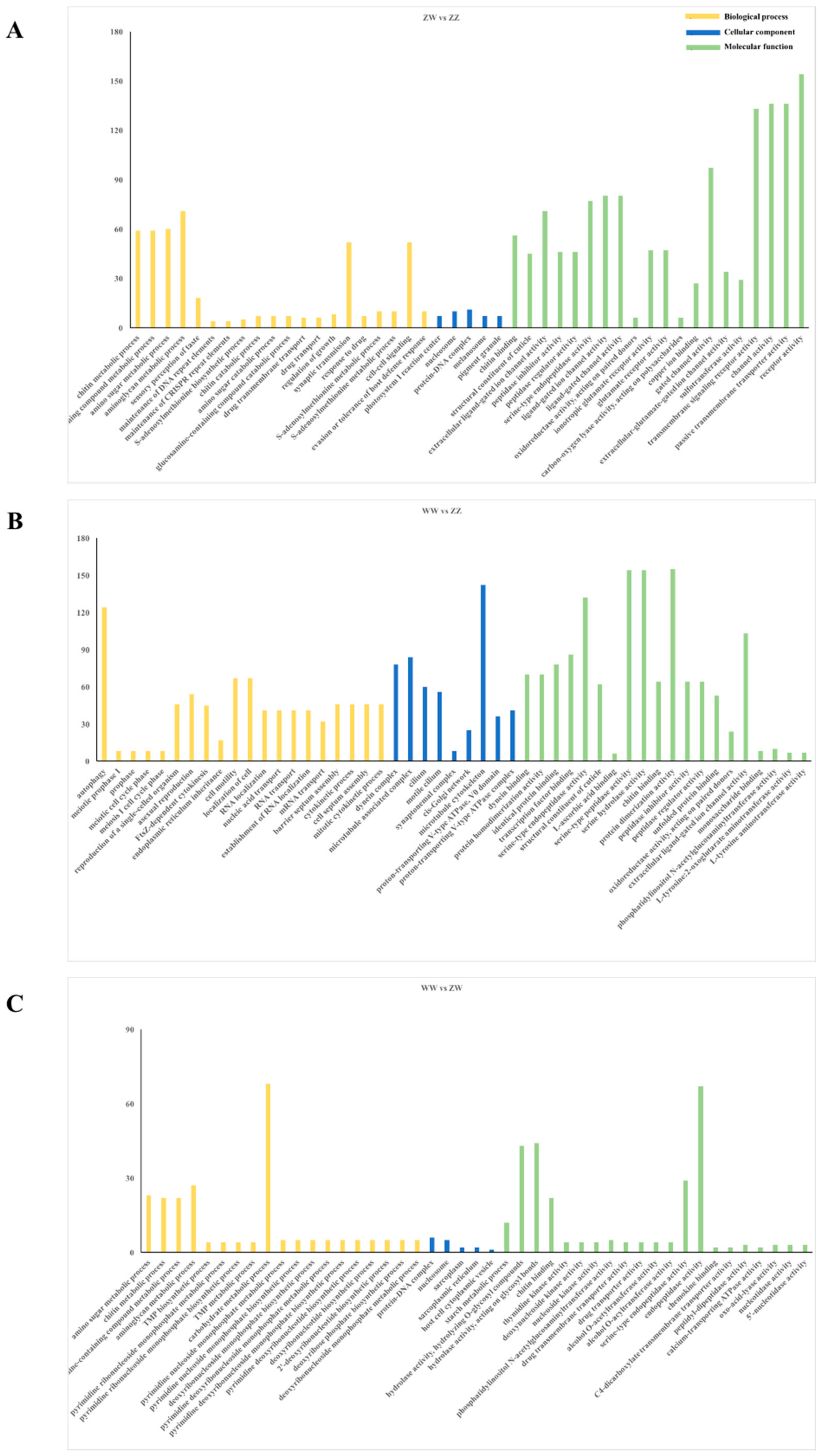 Genes 10 01035 g004