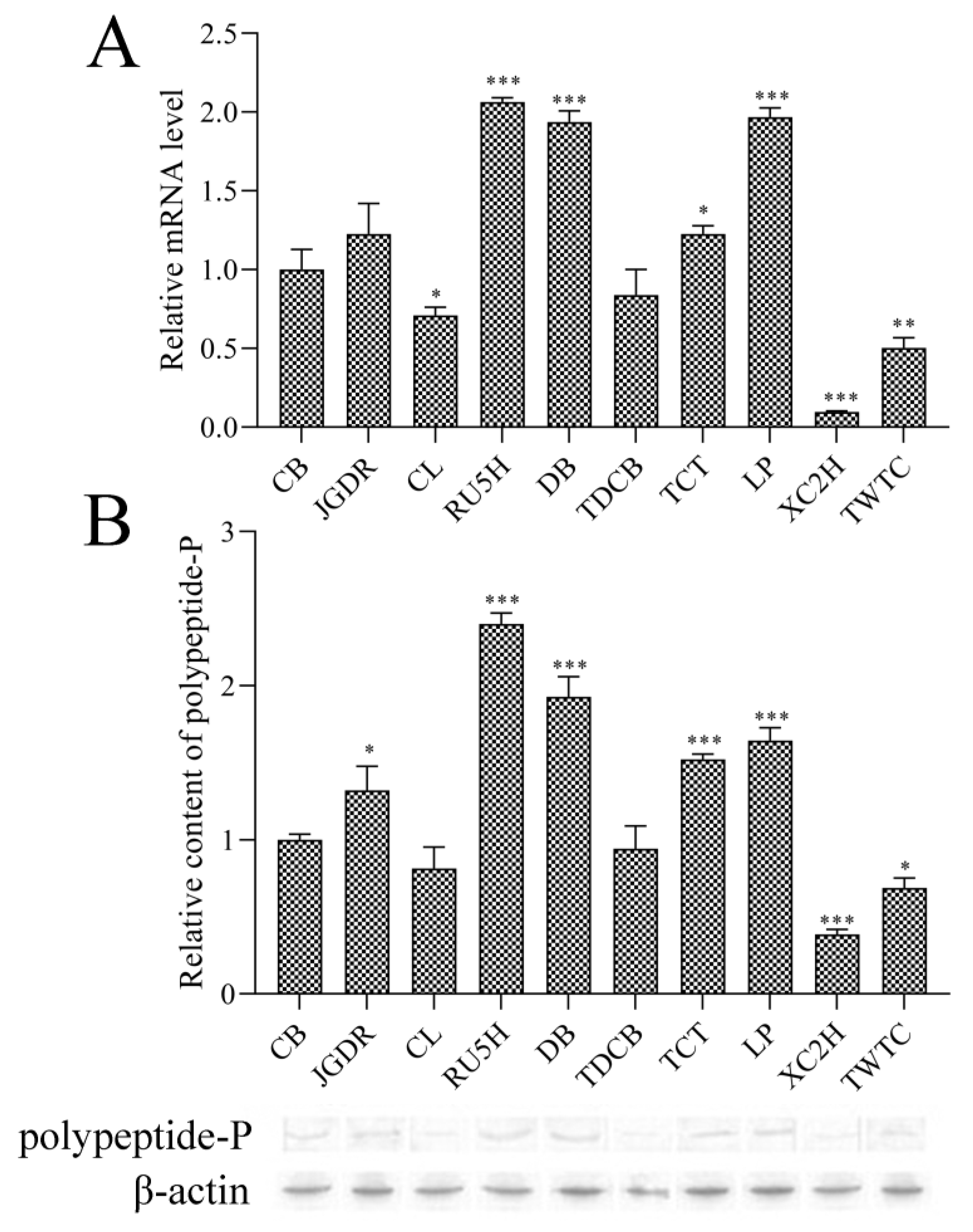 Genes 10 01044 g001
