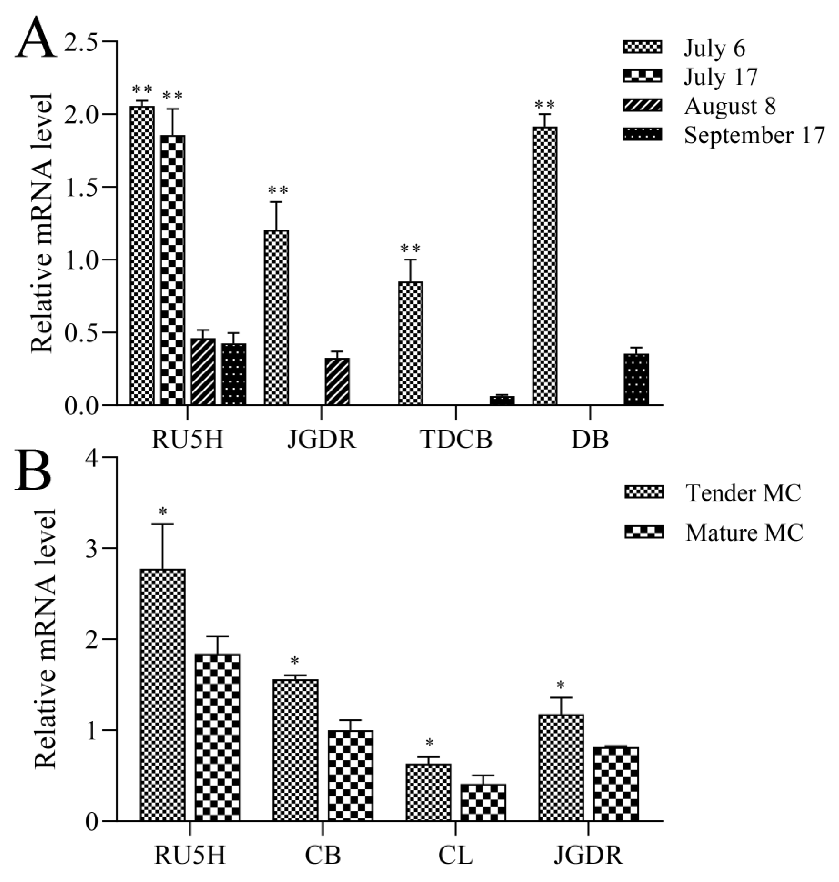 Genes 10 01044 g002