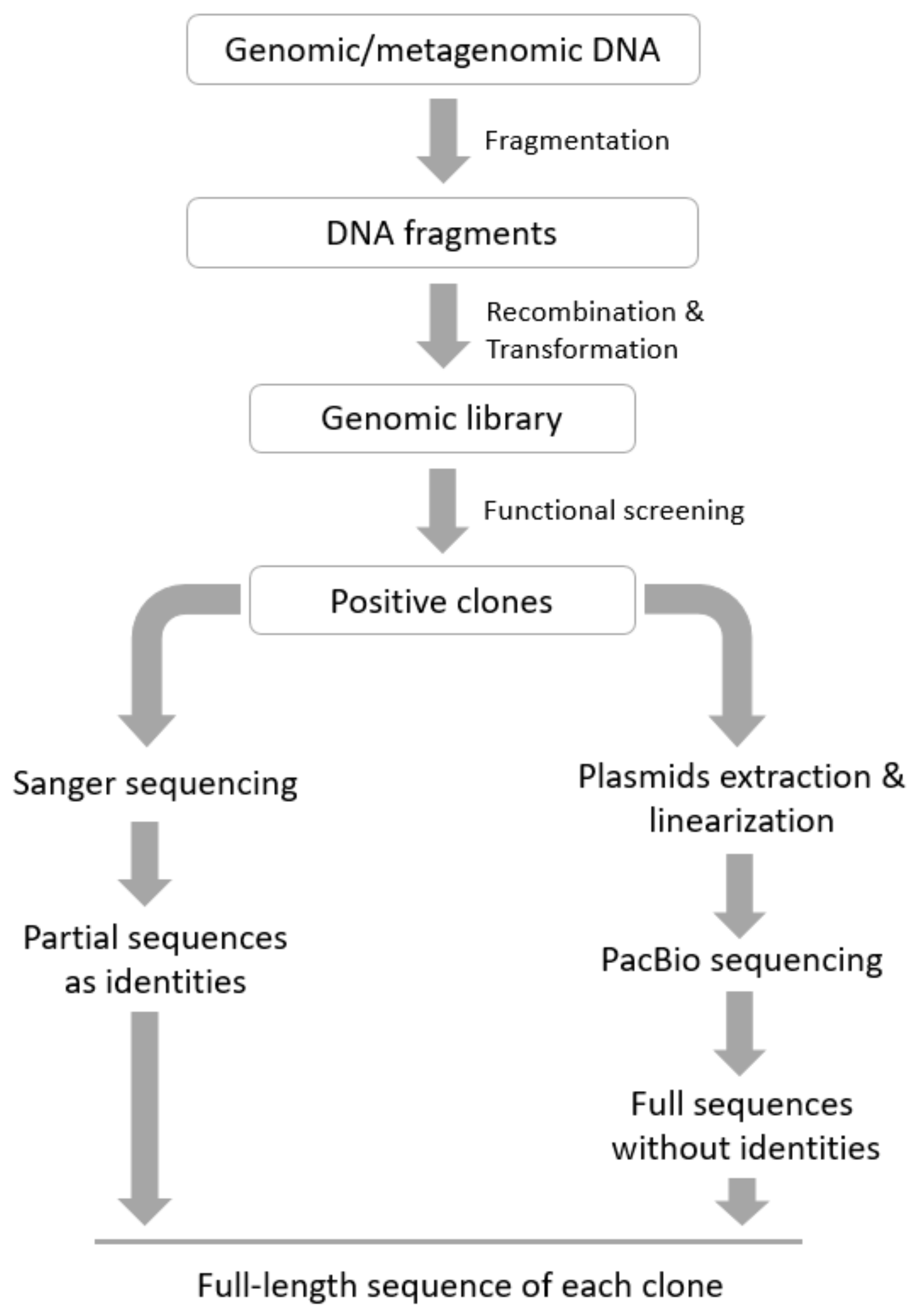 Genes 11 00007 g001 Genes 11 00007 g001