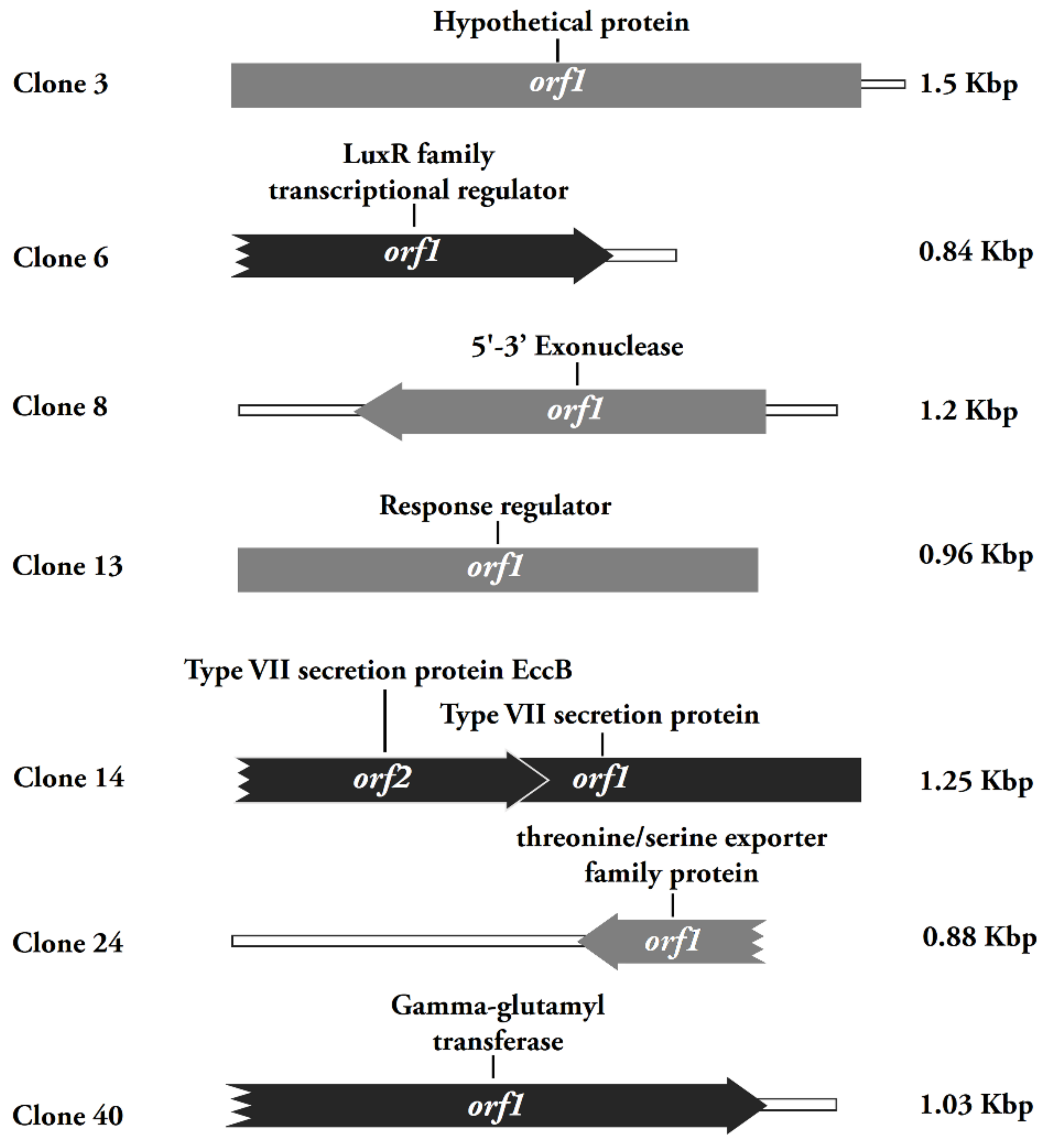 Genes 11 00007 g003 Genes 11 00007 g003