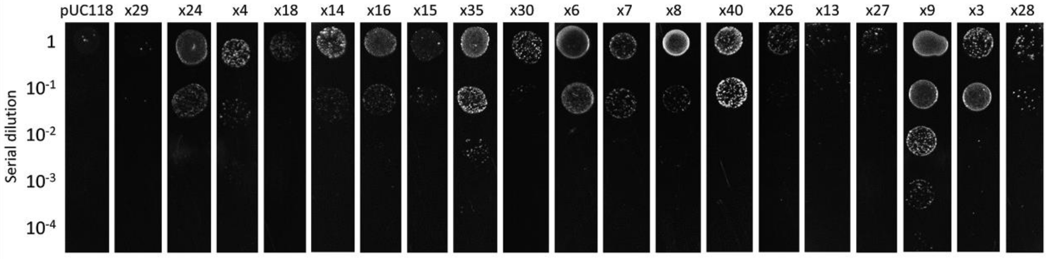 Genes 11 00007 g004 Genes 11 00007 g004