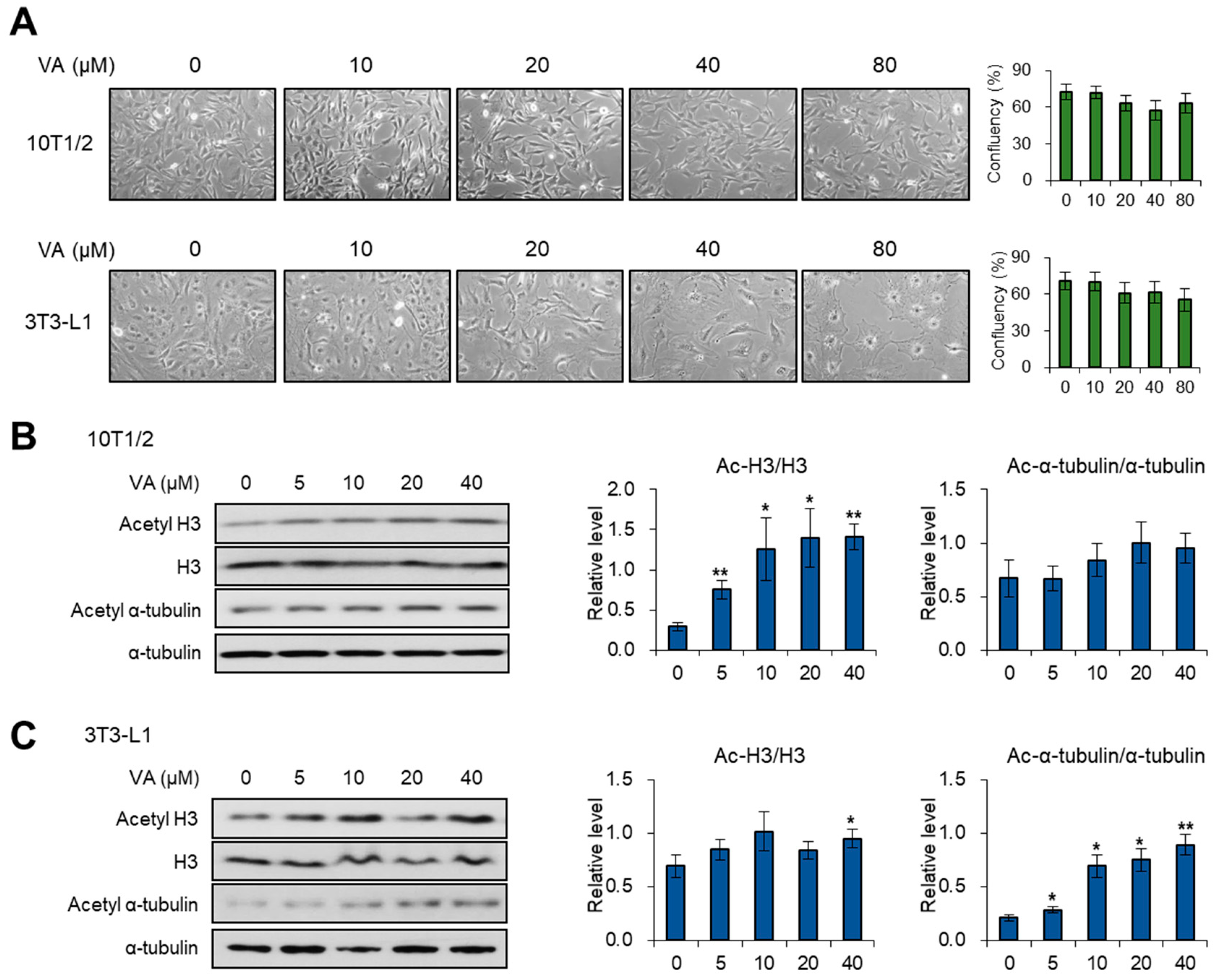 Genes 11 00018 g001 Genes 11 00018 g001