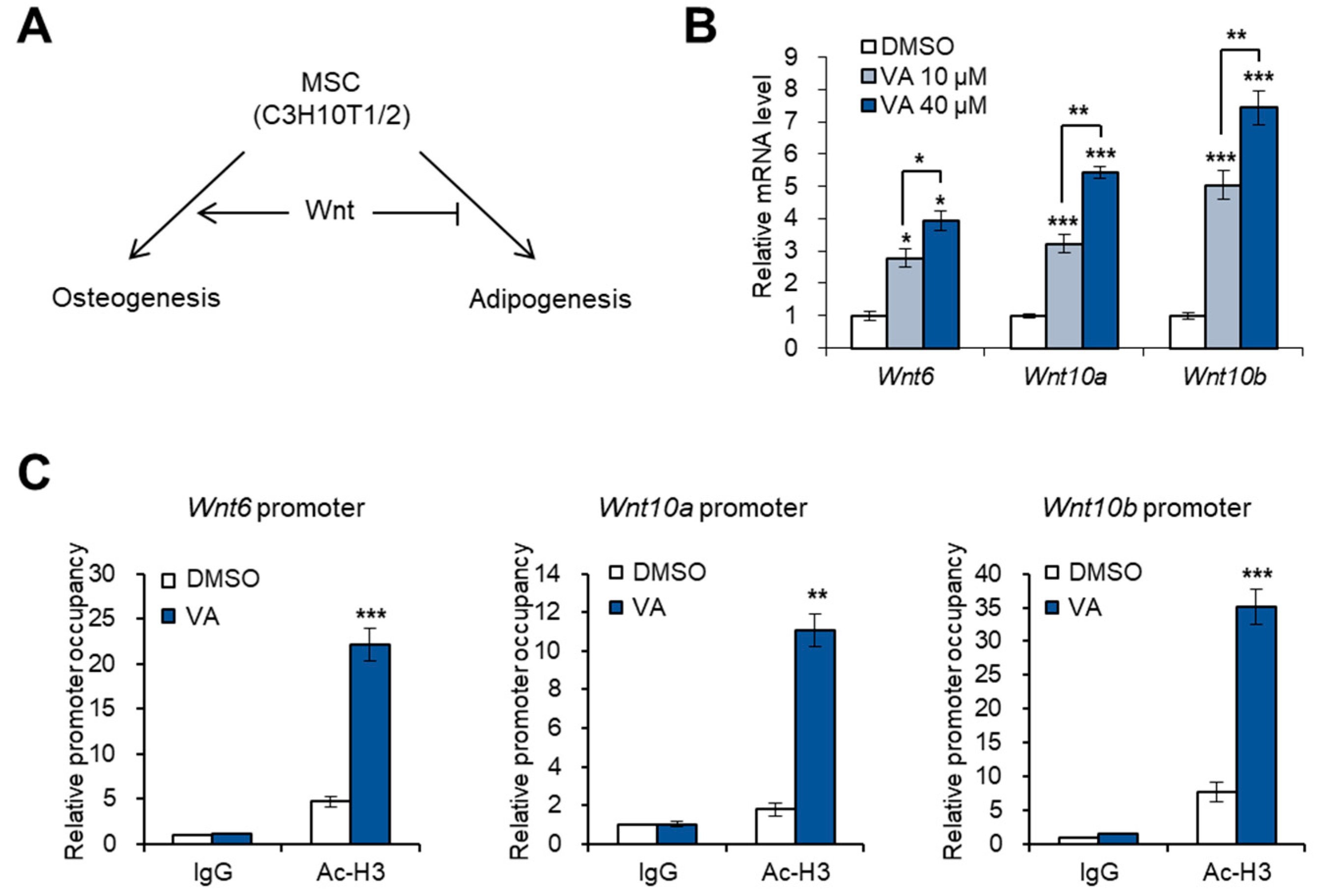 Genes 11 00018 g002 Genes 11 00018 g002