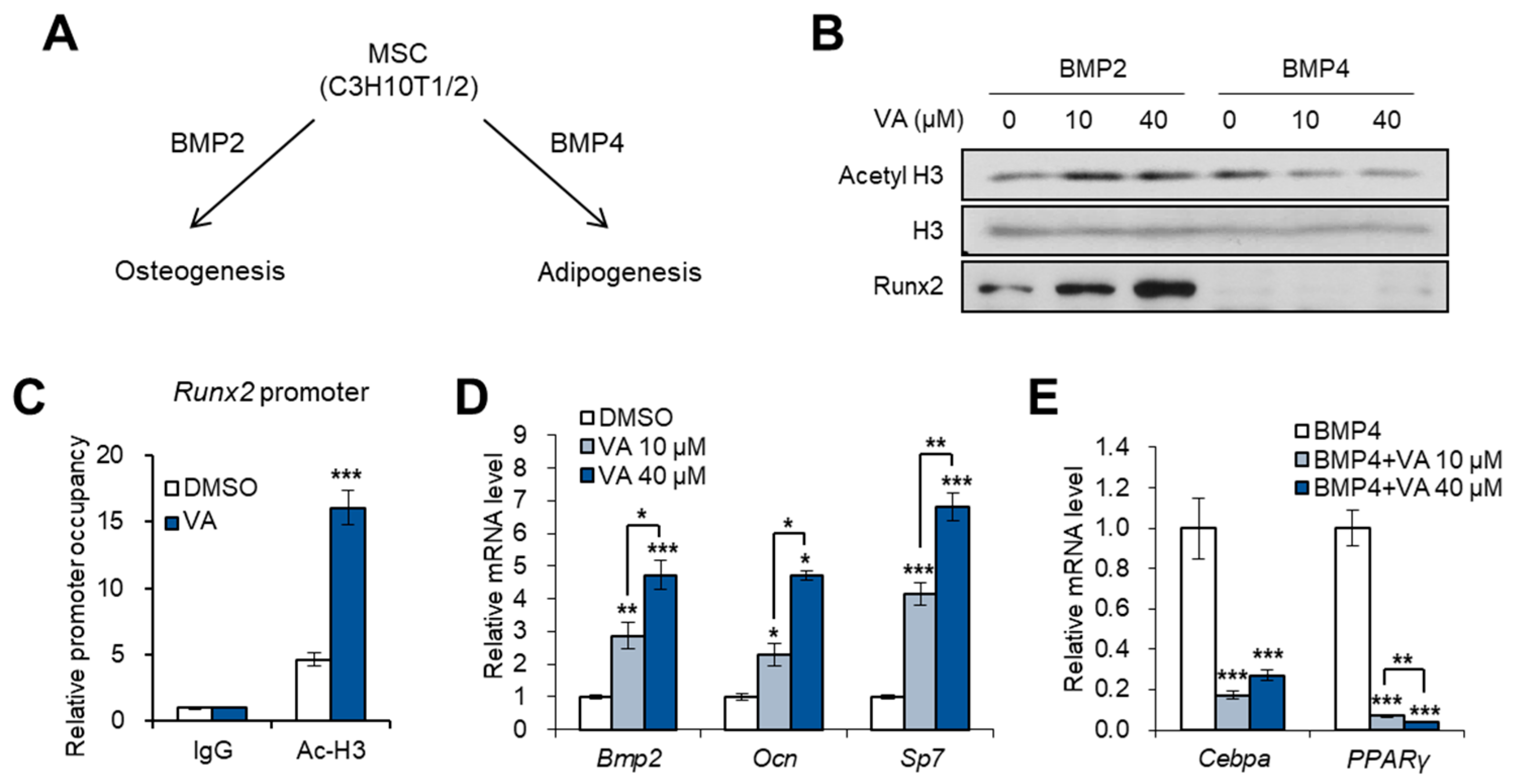 Genes 11 00018 g003 Genes 11 00018 g003