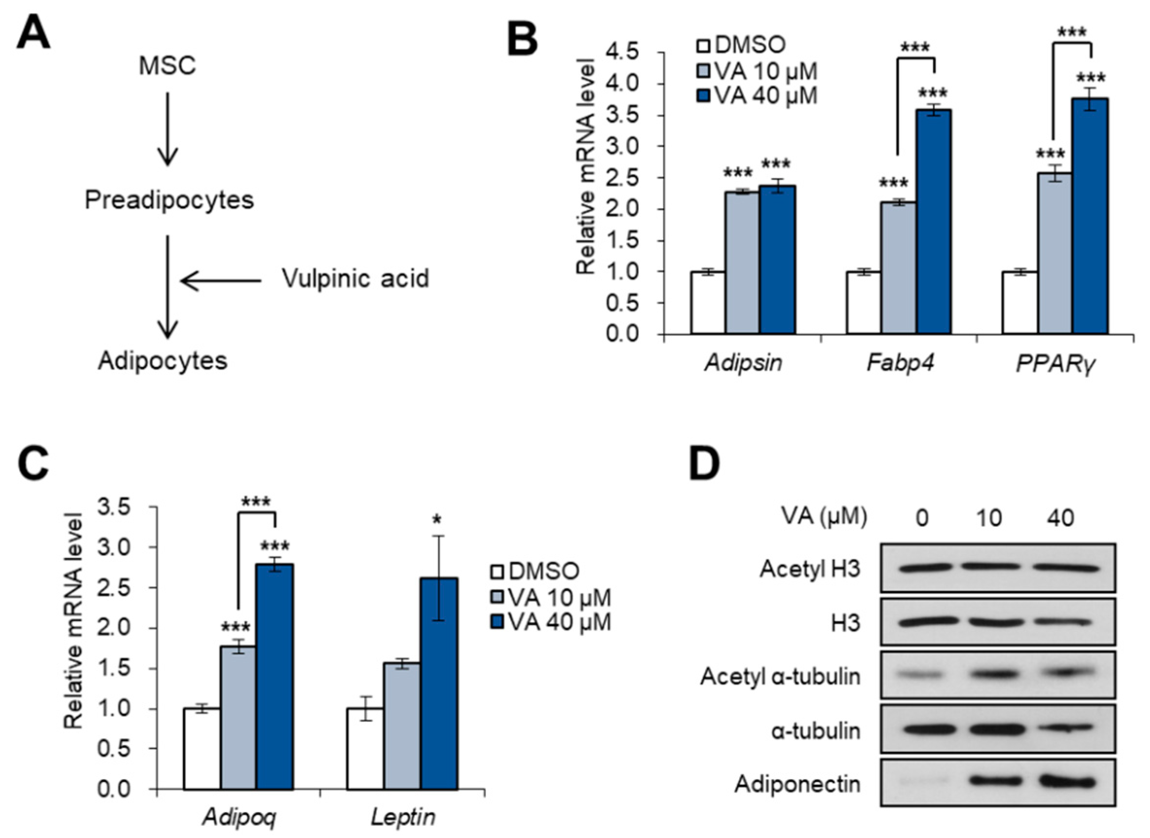 Genes 11 00018 g004 Genes 11 00018 g004