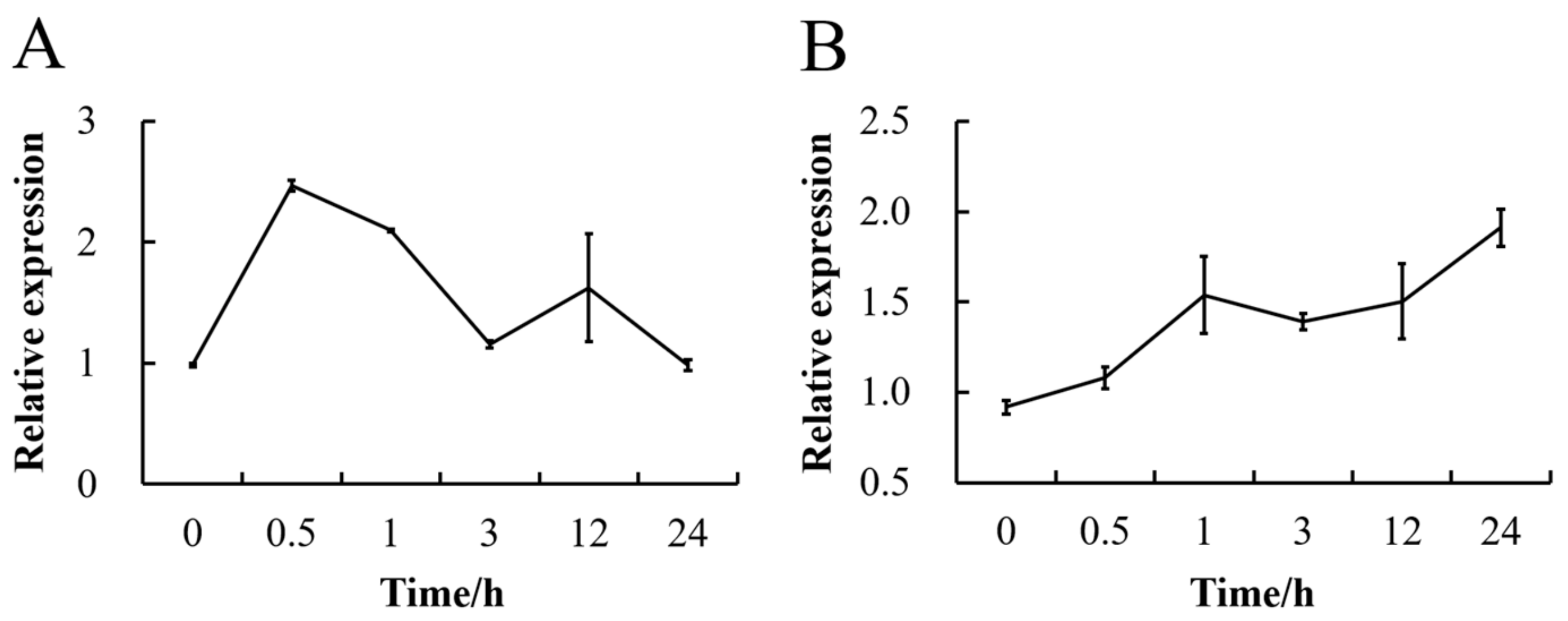 Genes 11 00026 g002