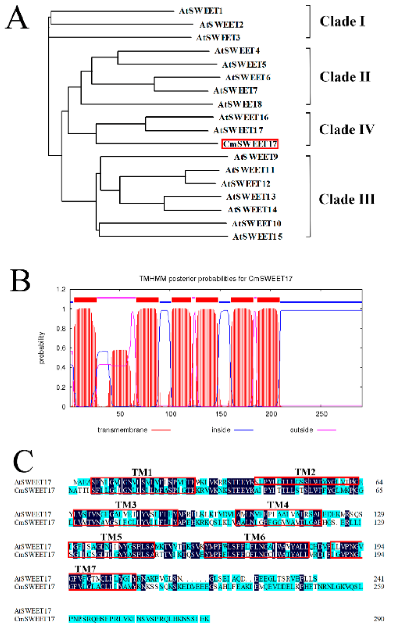 Genes 11 00026 g003