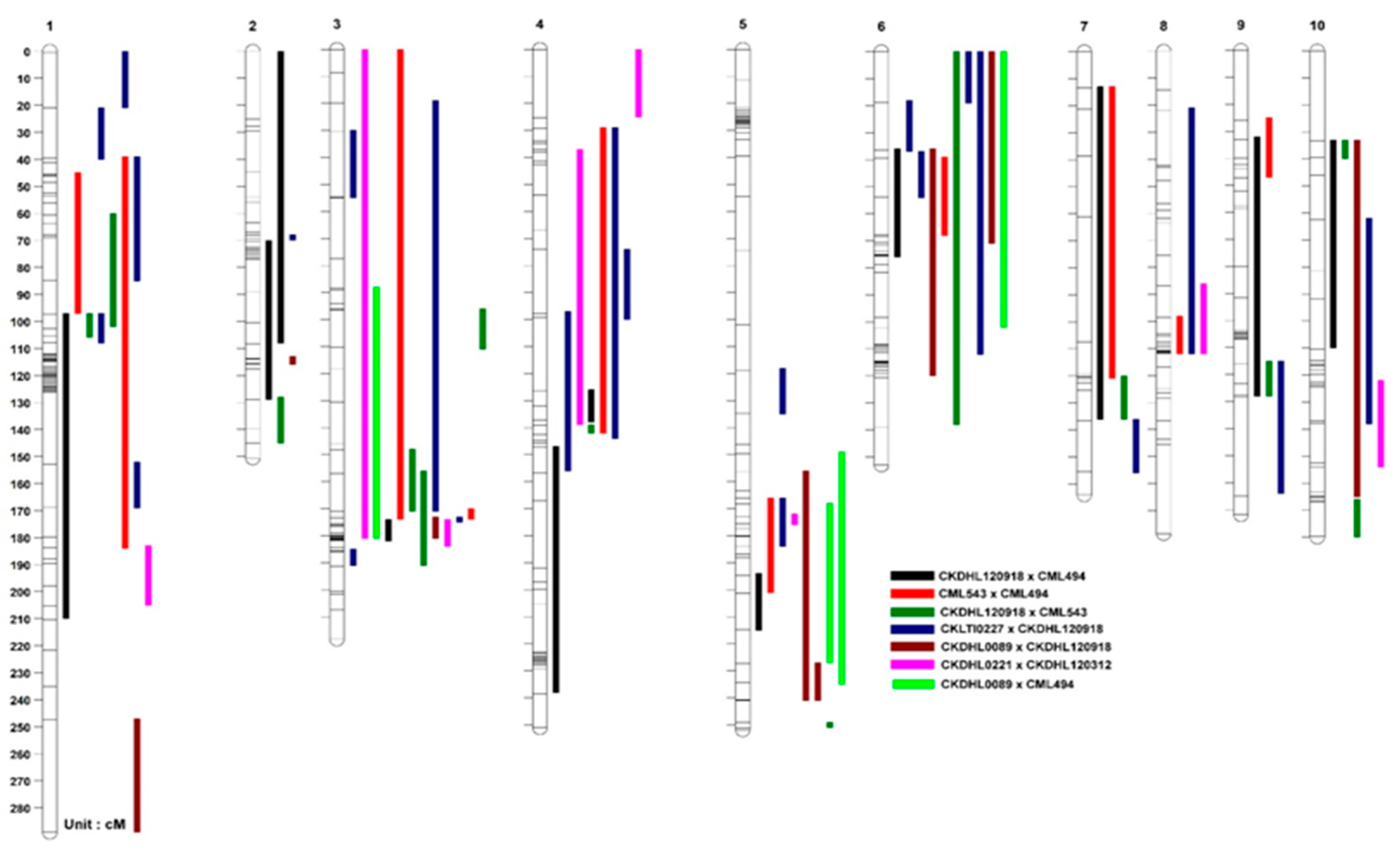Genes 11 00032 g004 Genes 11 00032 g004