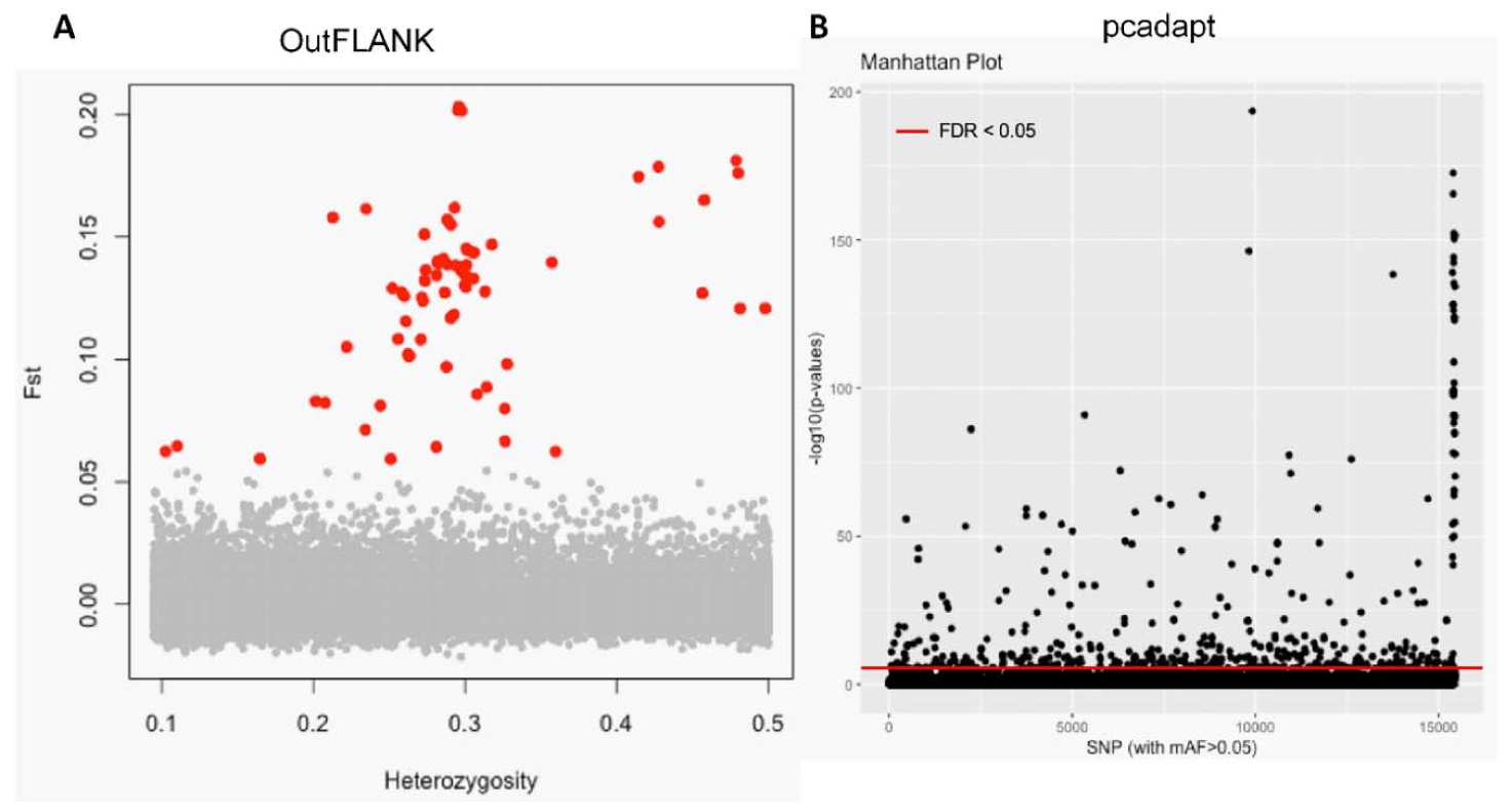 Genes 11 00046 g002