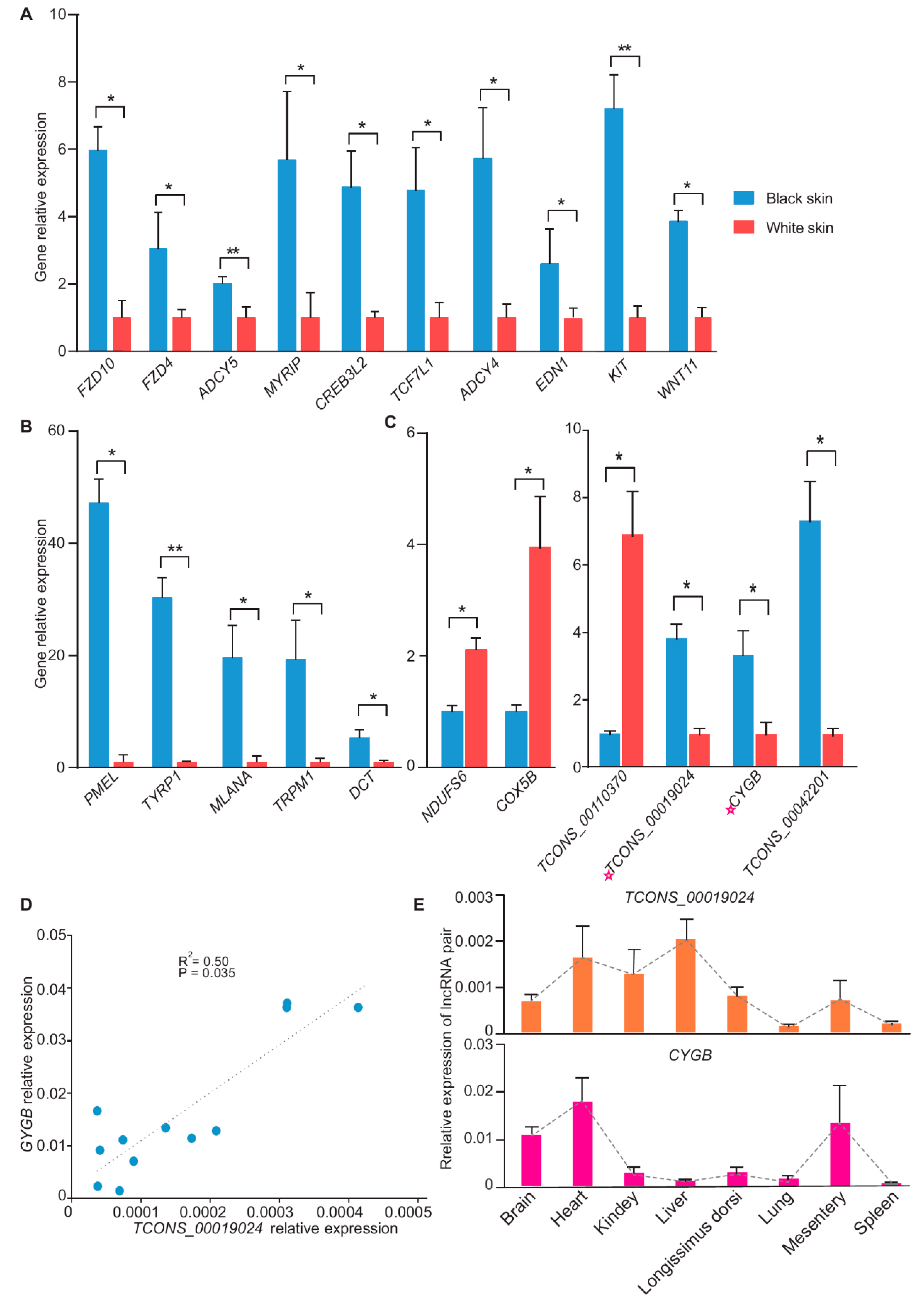 Genes 11 00047 g005