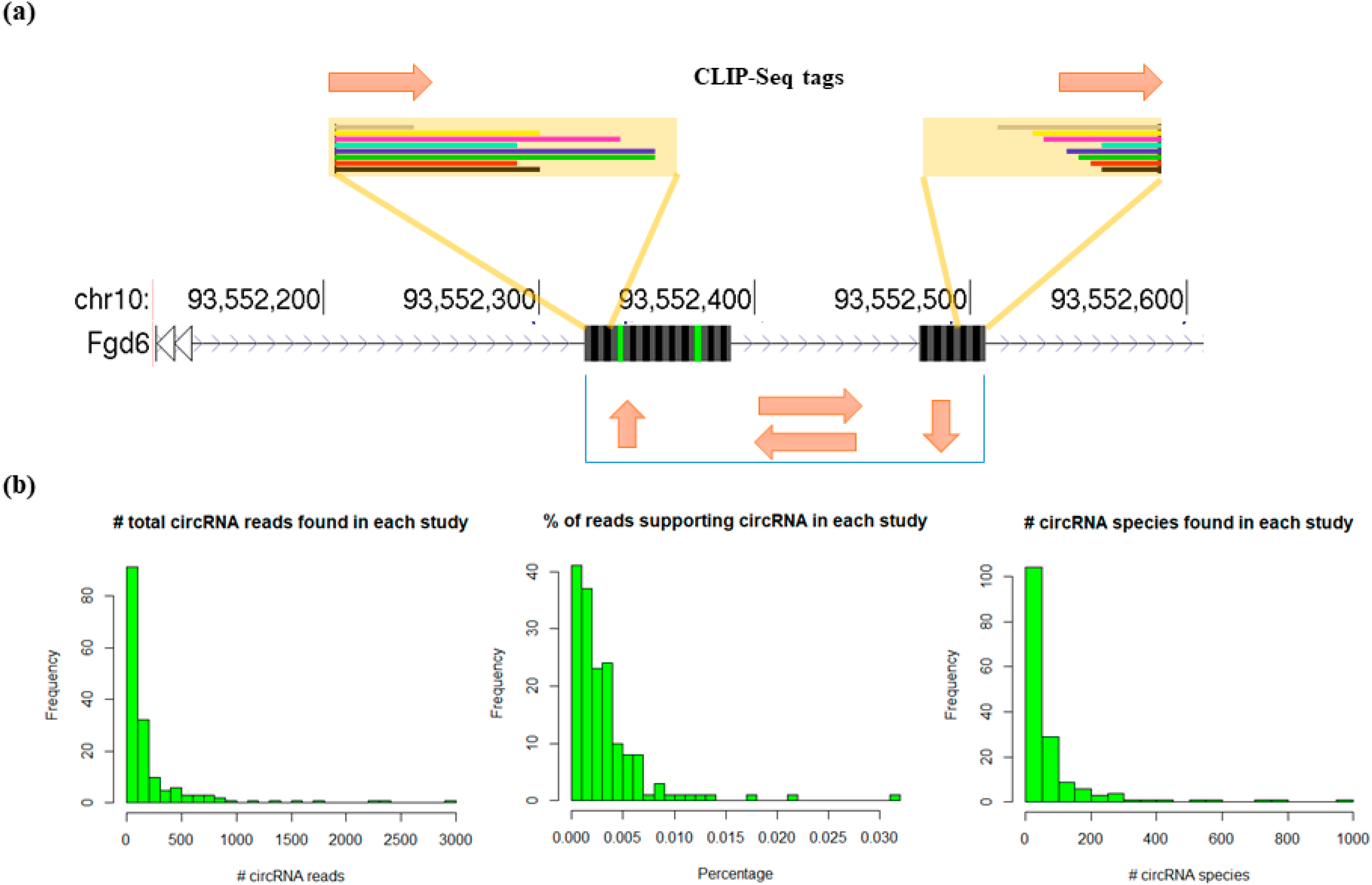 Genes 11 00054 g002