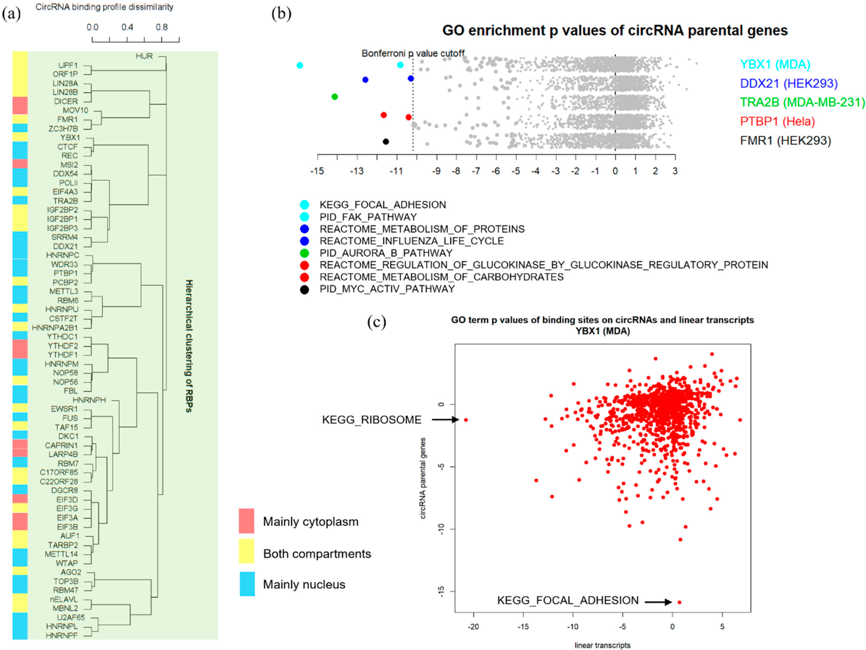 Genes 11 00054 g005
