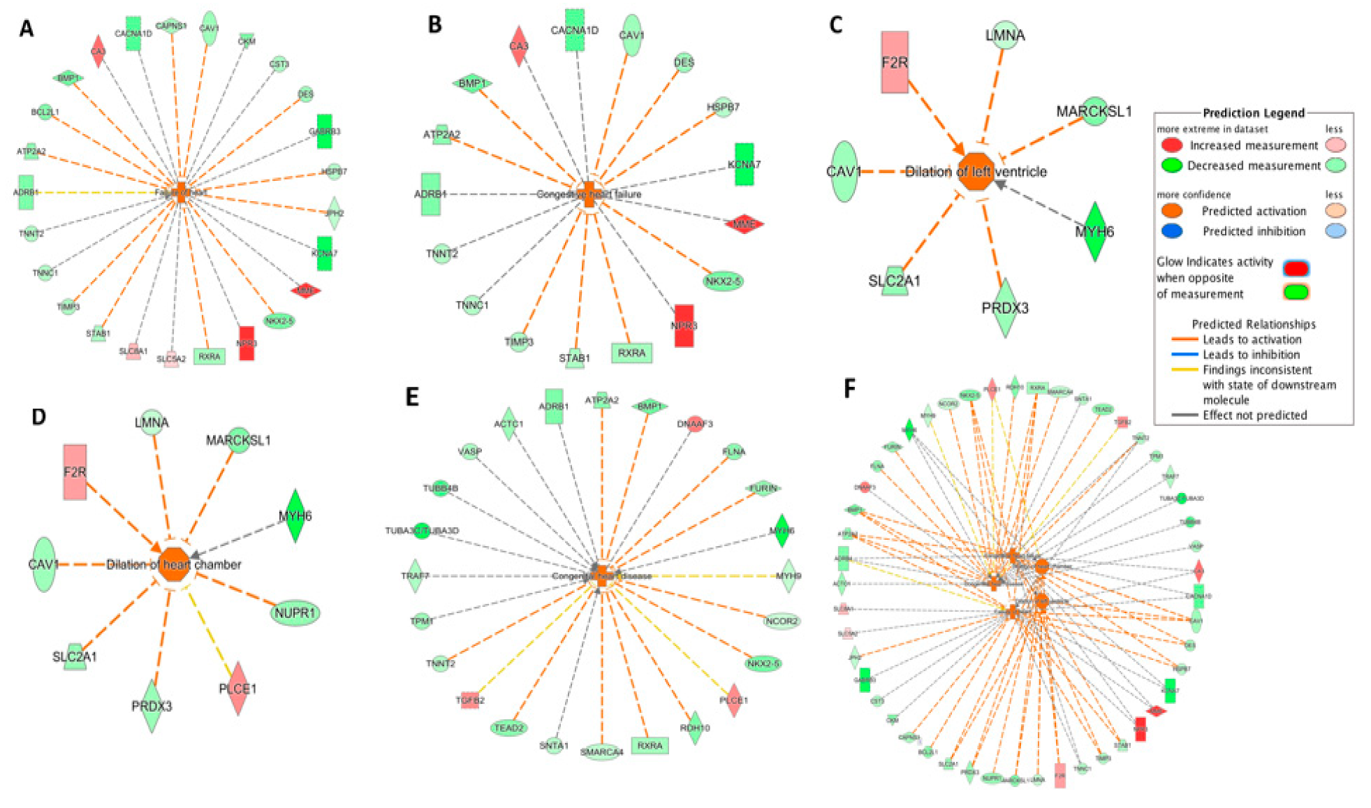 Genes 11 00060 g003 Genes 11 00060 g003