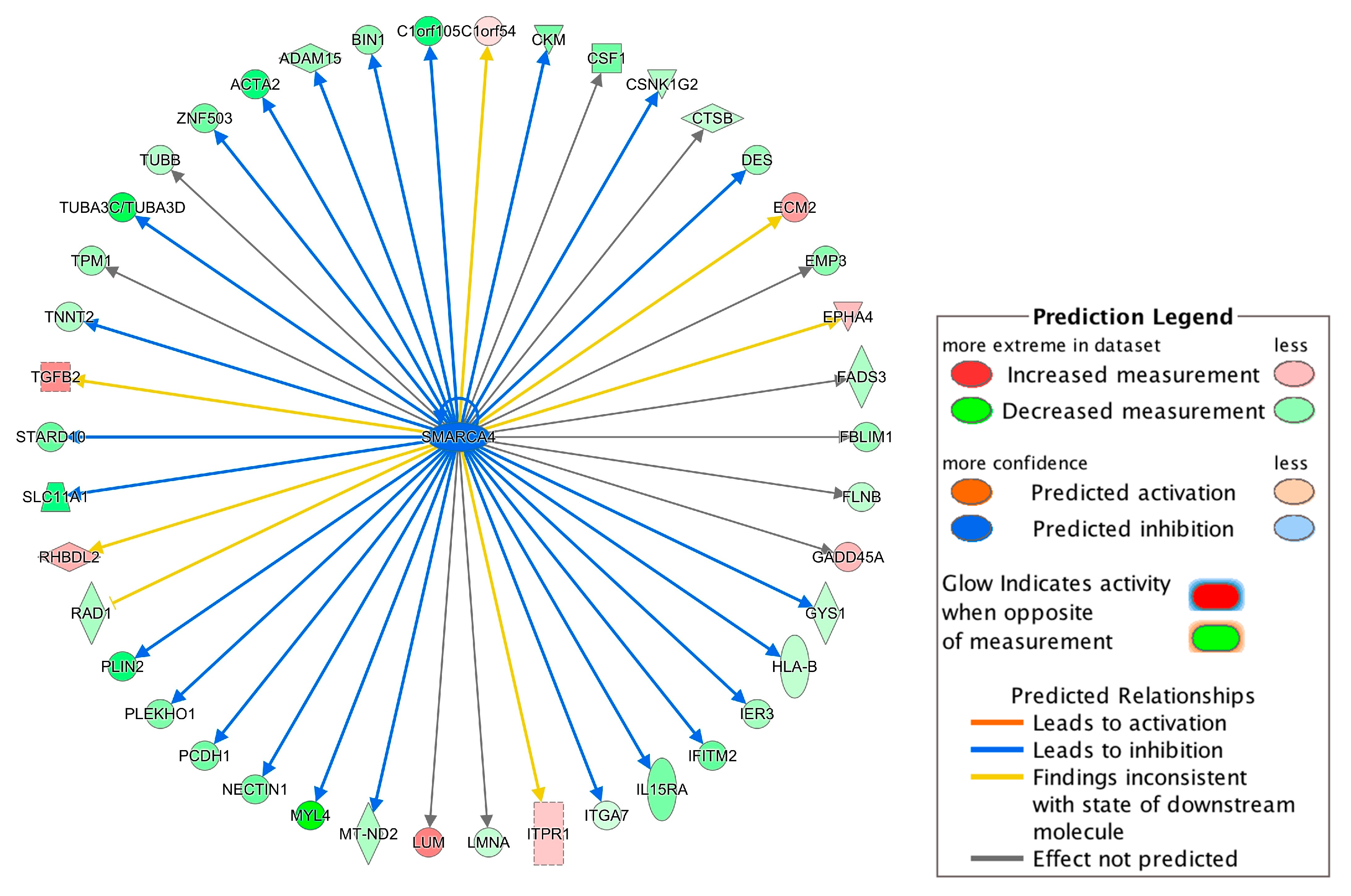 Genes 11 00060 g004 Genes 11 00060 g004