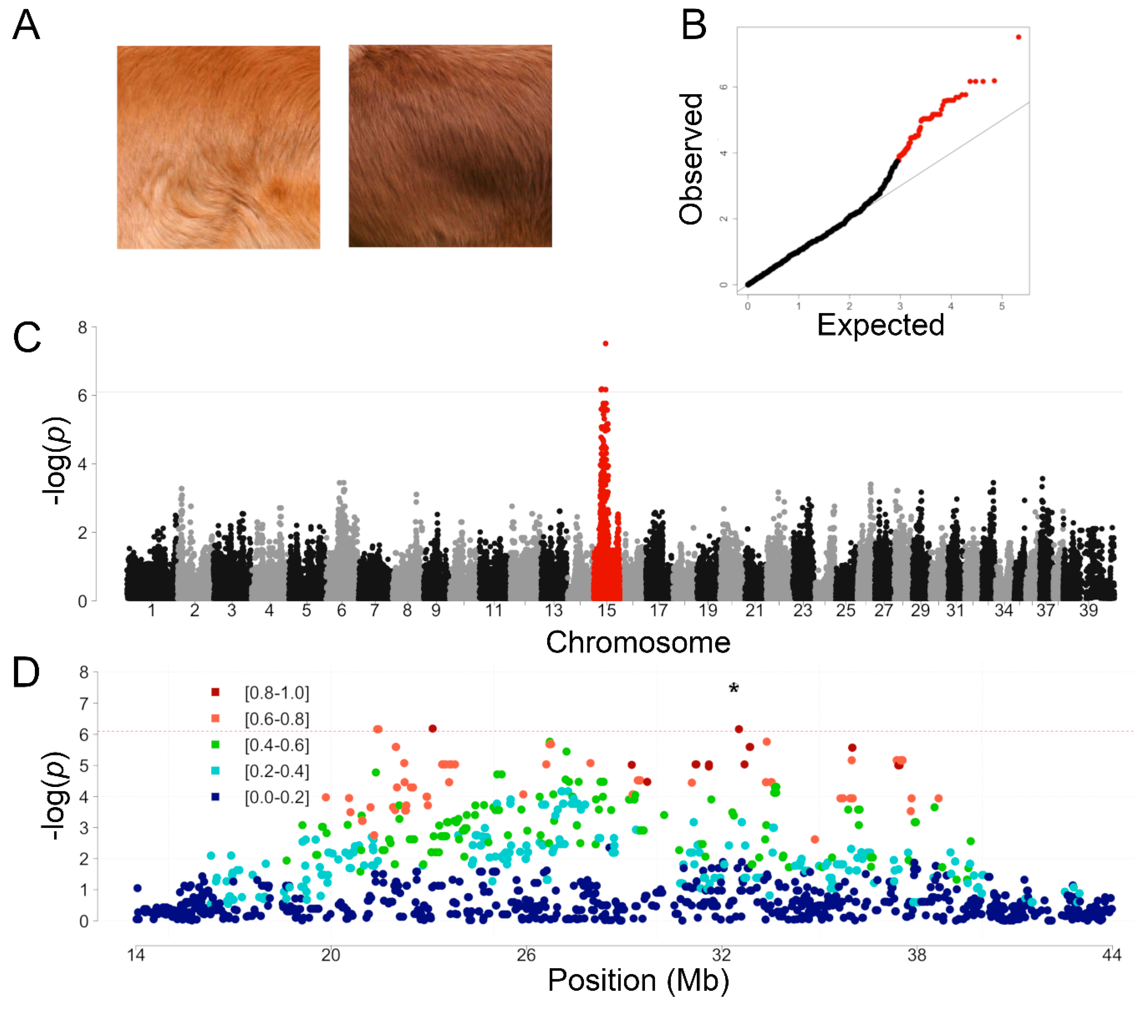 Genes 11 00075 g001 Genes 11 00075 g001