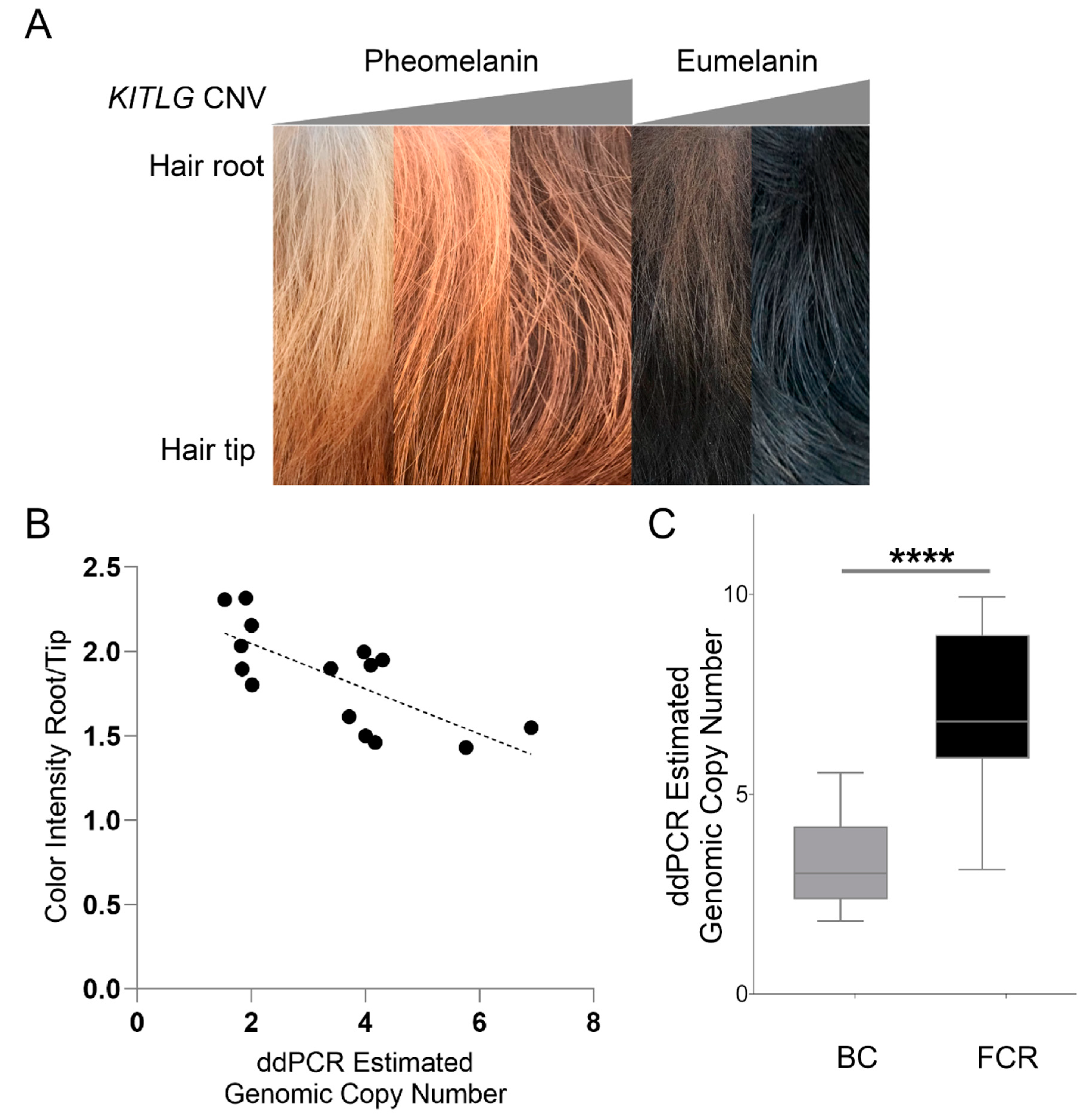 Genes 11 00075 g005 Genes 11 00075 g005