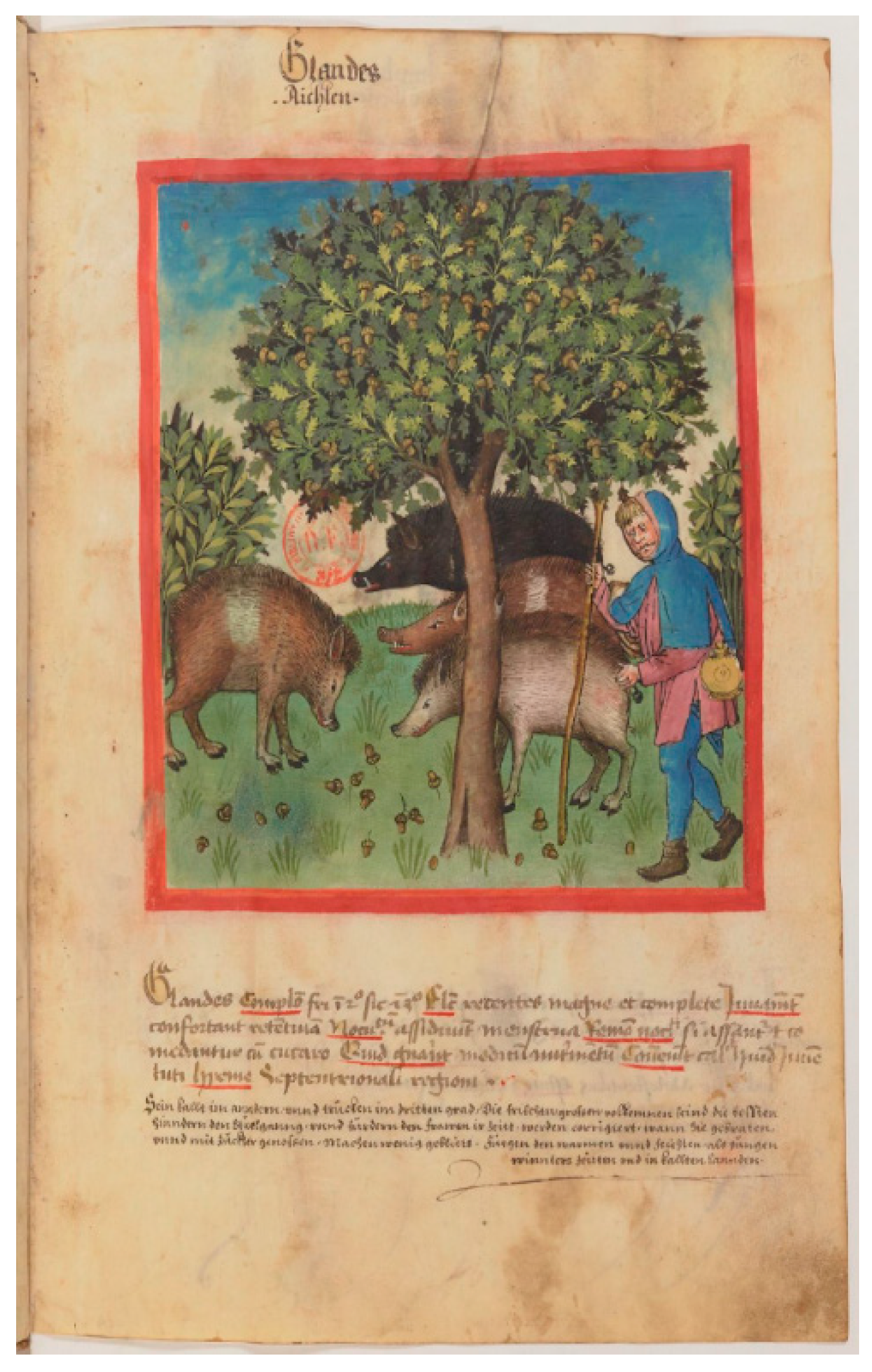 Genes 11 00085 g003 Genes 11 00085 g003