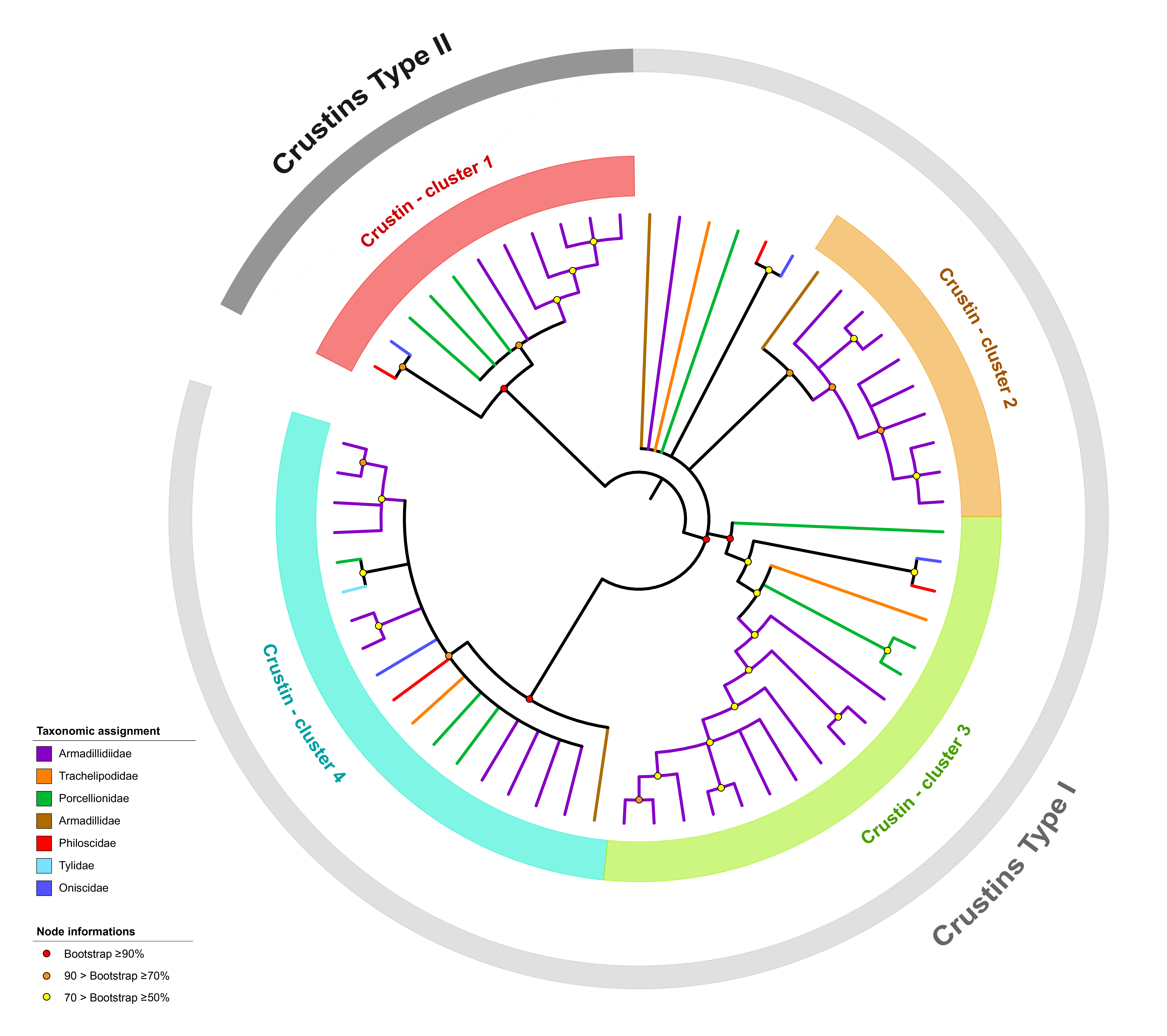 Genes 11 00093 g004 Genes 11 00093 g004