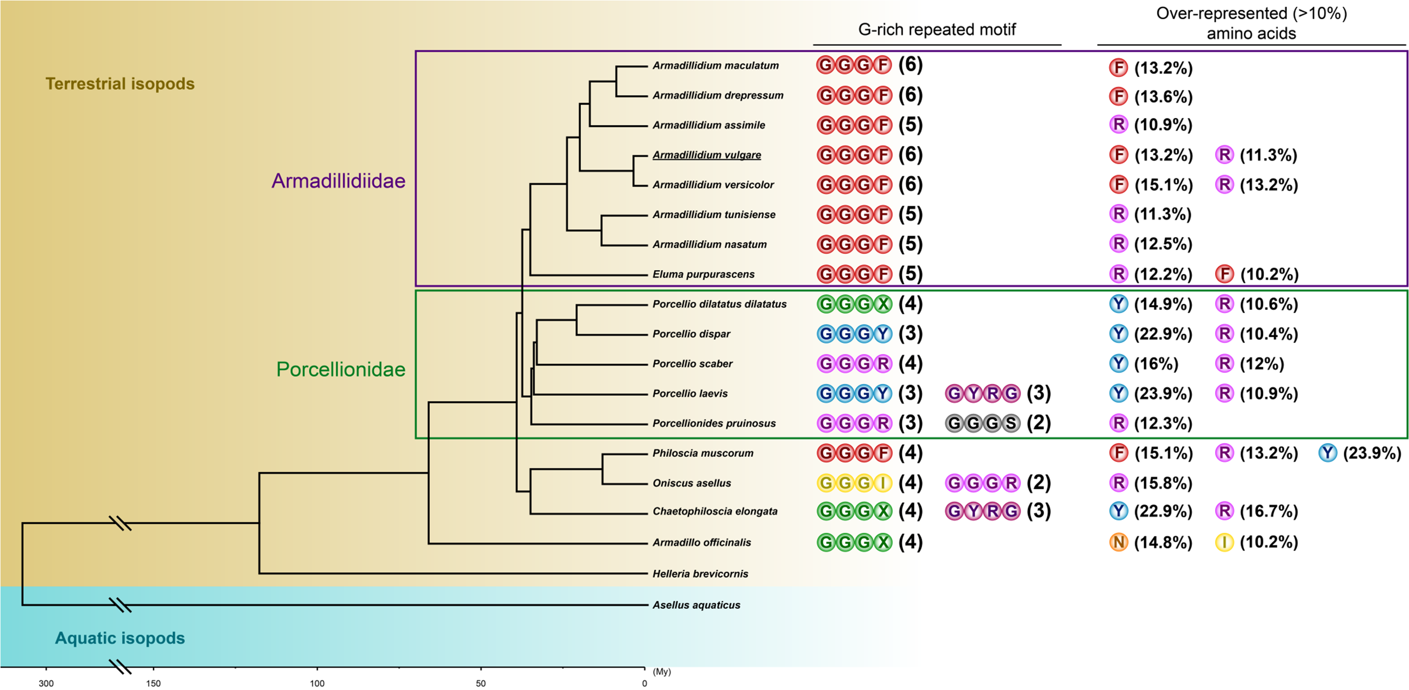 Genes 11 00093 g005 Genes 11 00093 g005