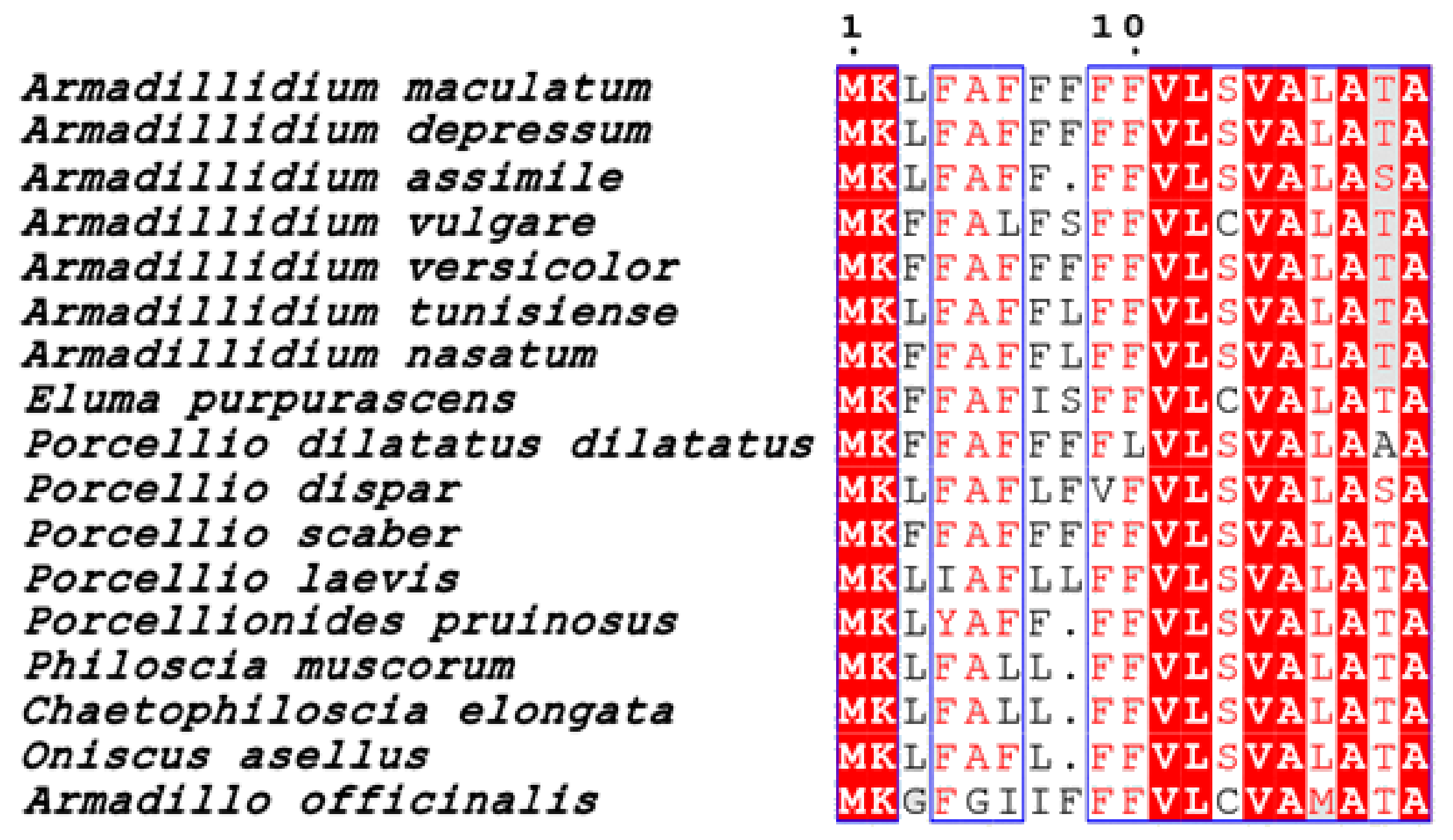 Genes 11 00093 g006 Genes 11 00093 g006