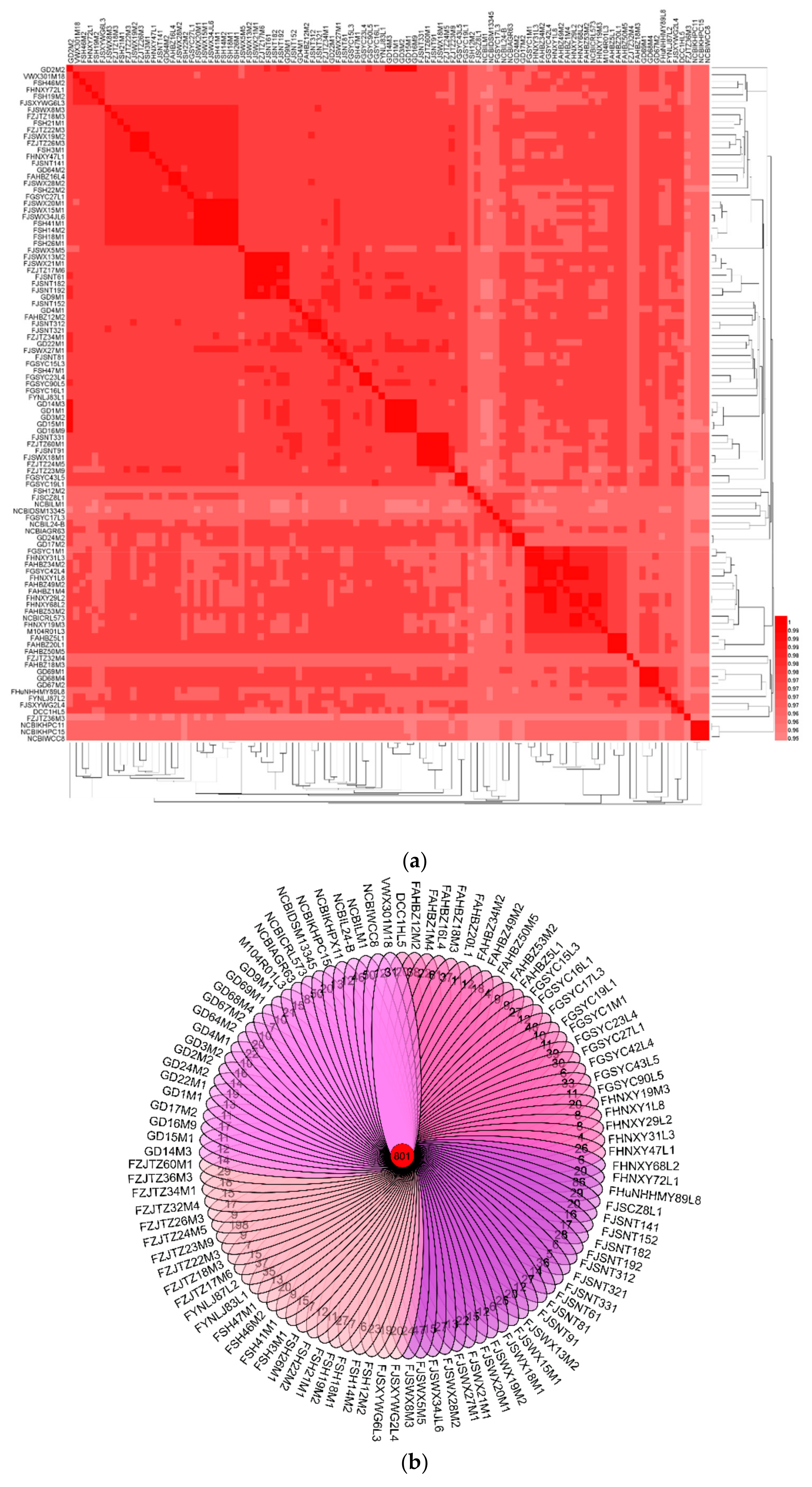 Genes 11 00095 g001a Genes 11 00095 g001a