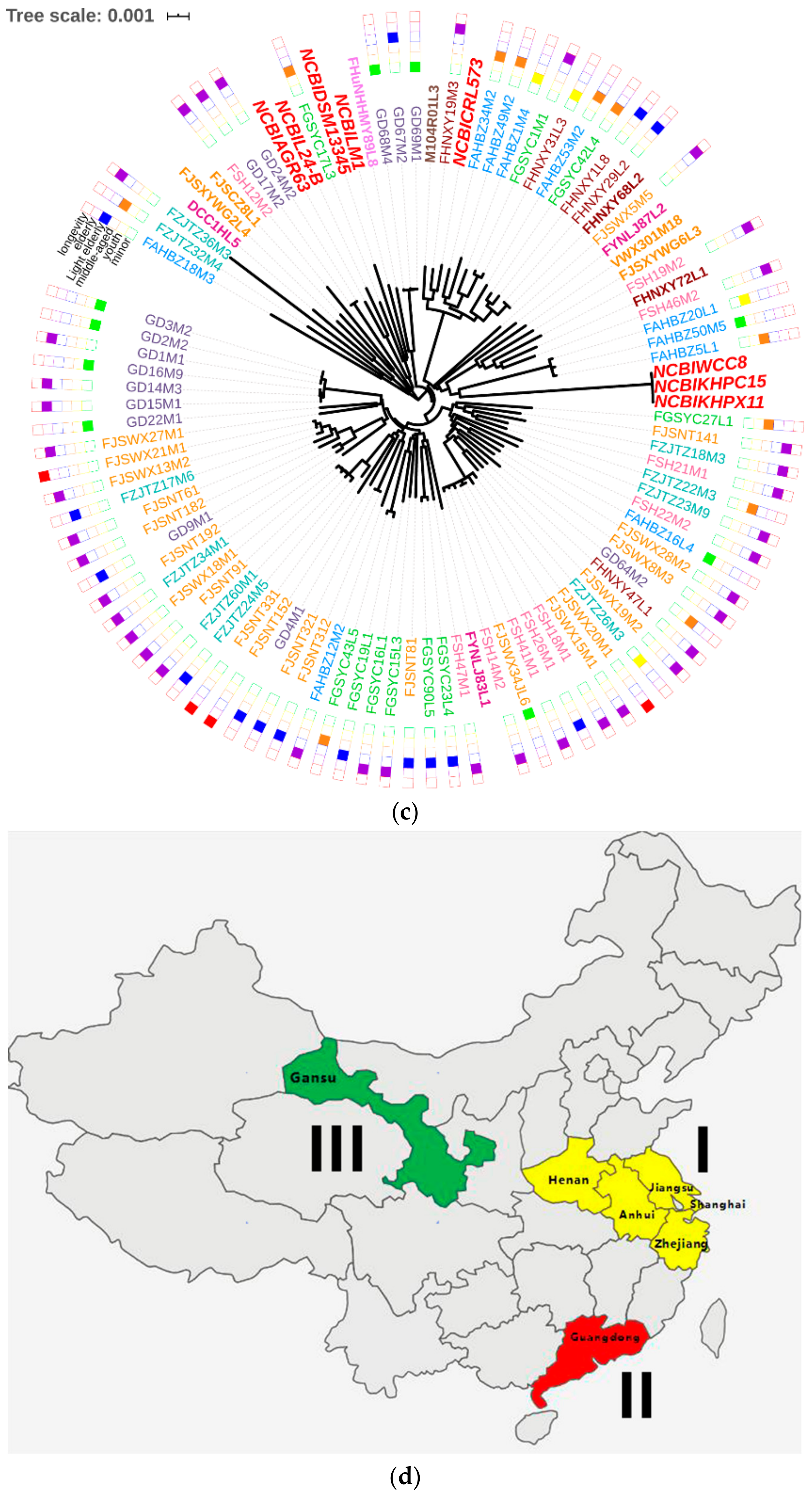 Genes 11 00095 g001b Genes 11 00095 g001b